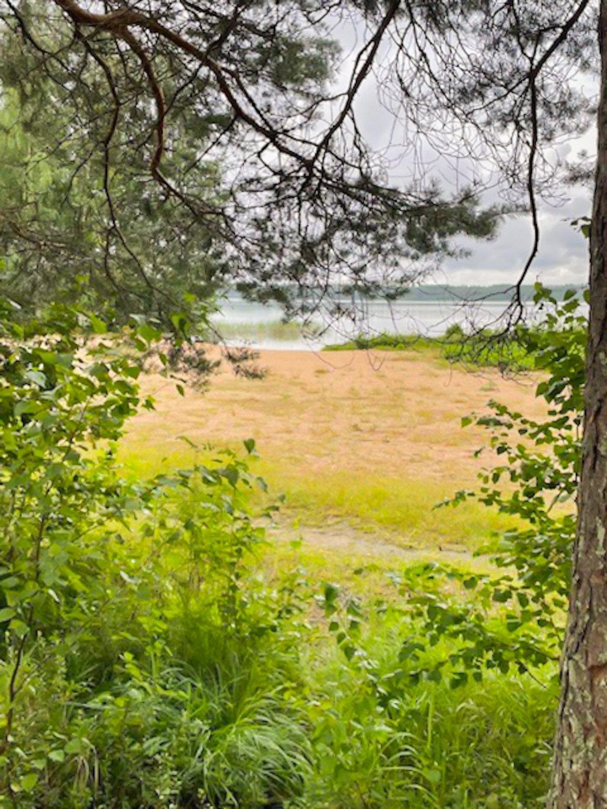 Kohdekuva 24