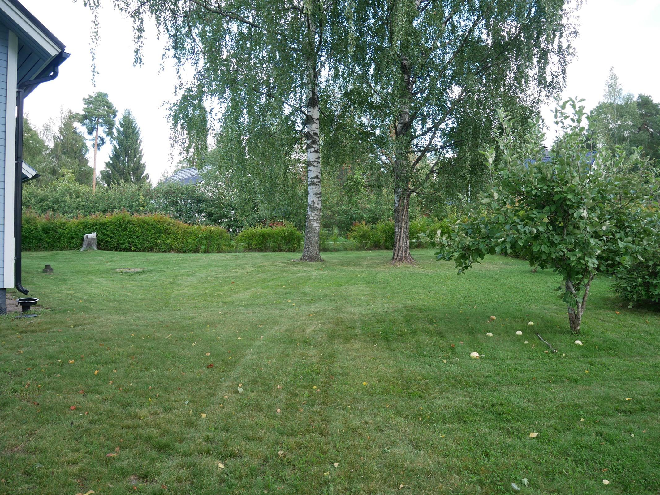 Kohdekuva 20