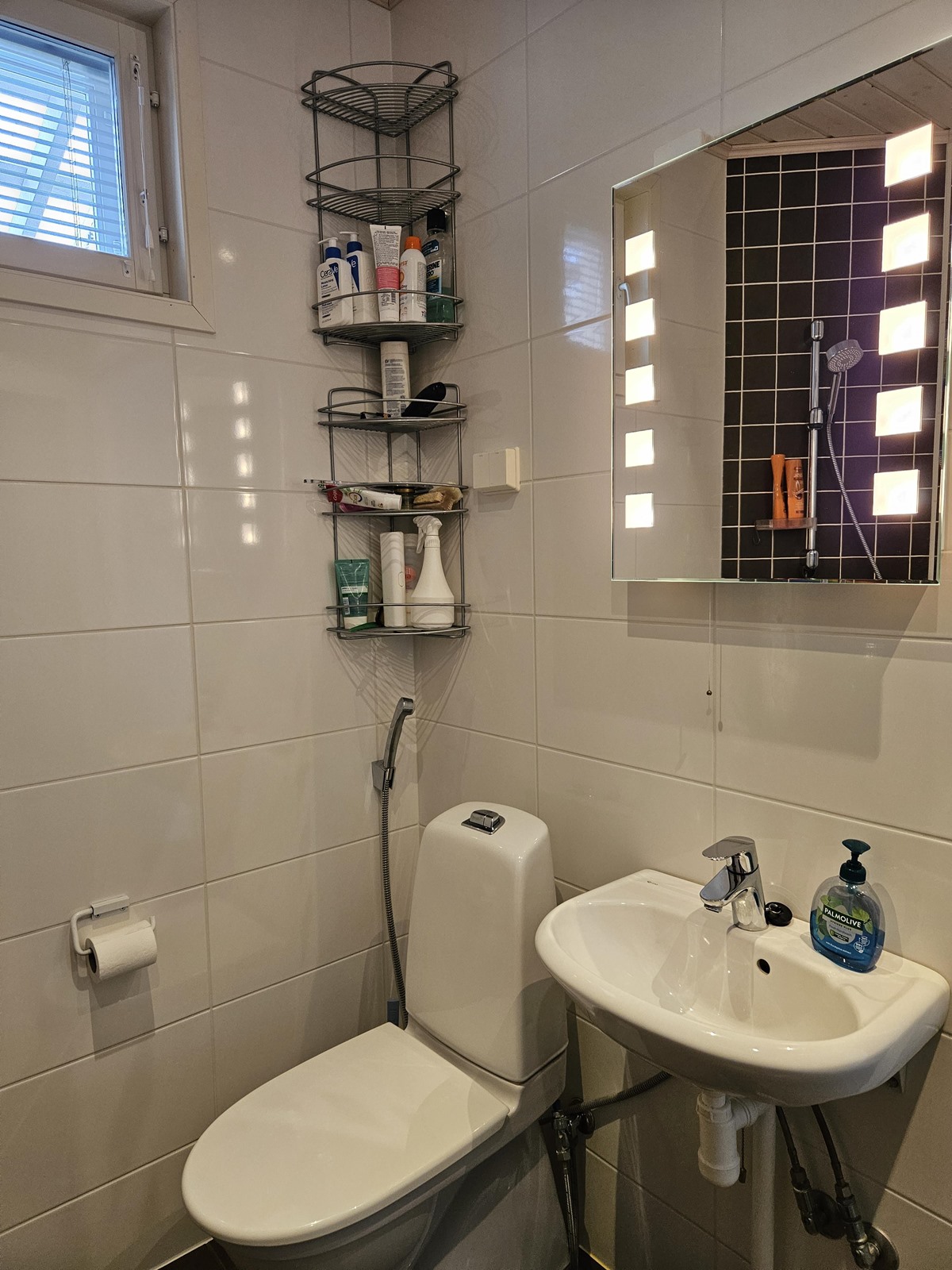 kylpyhuoneessa myös wc-istuin