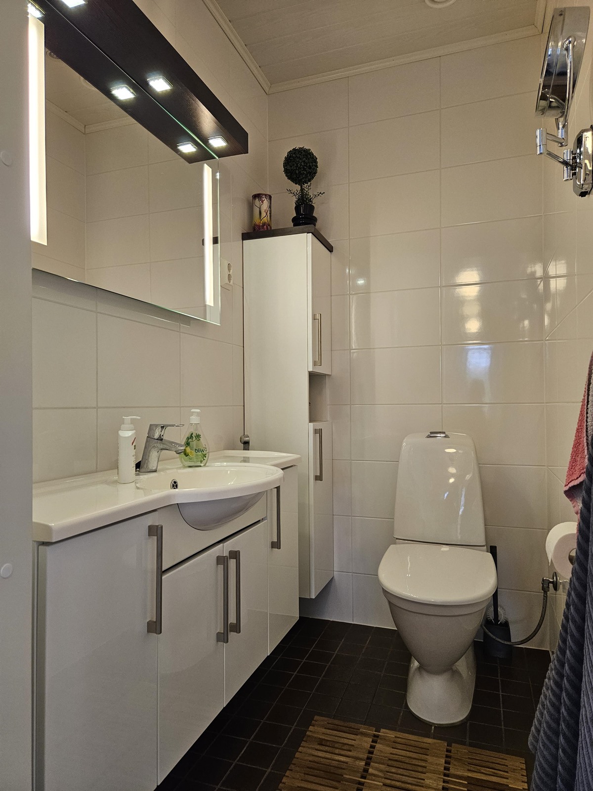 erillinen wc