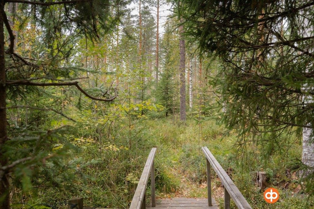 Kohdekuva 28