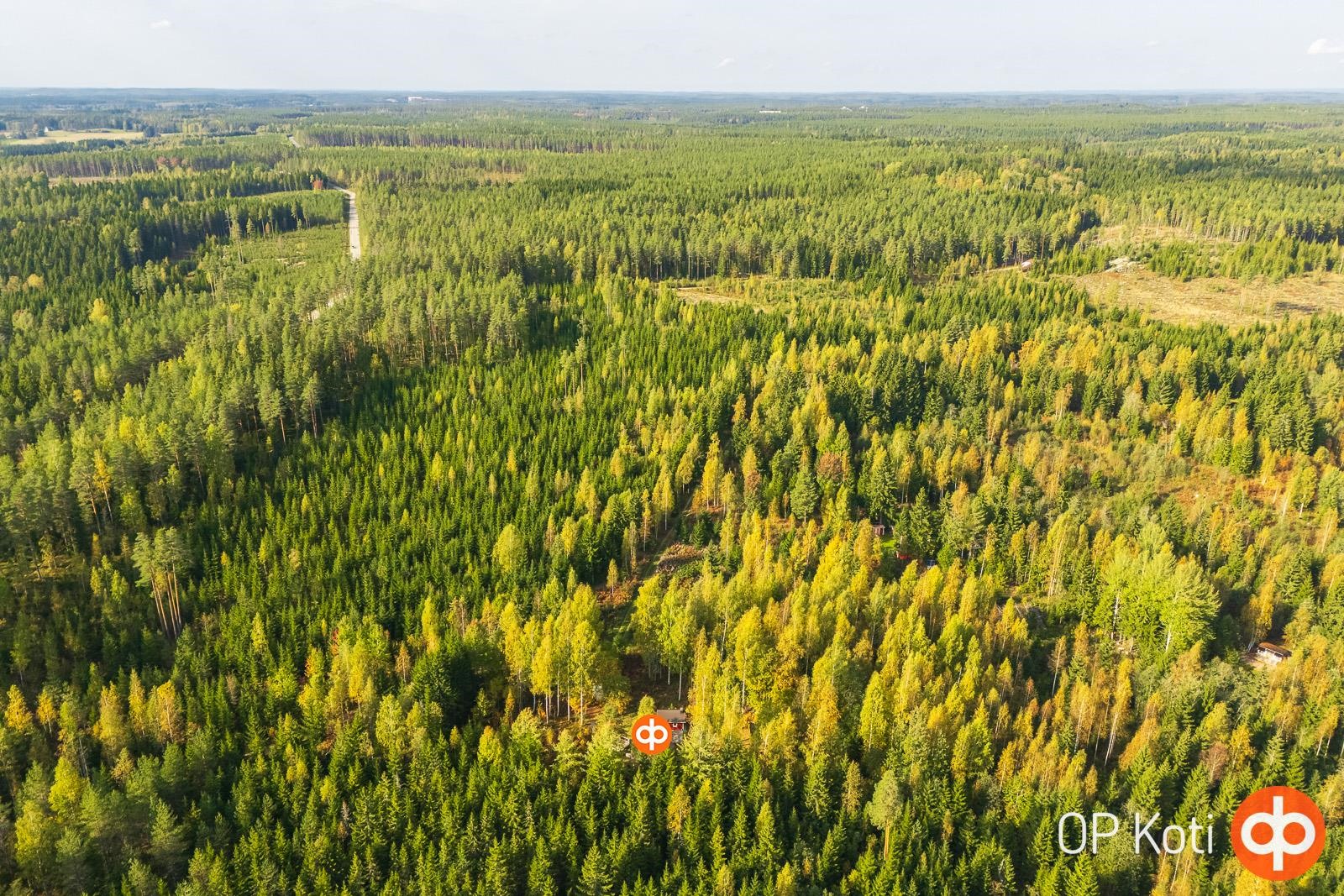 Kohdekuva 17