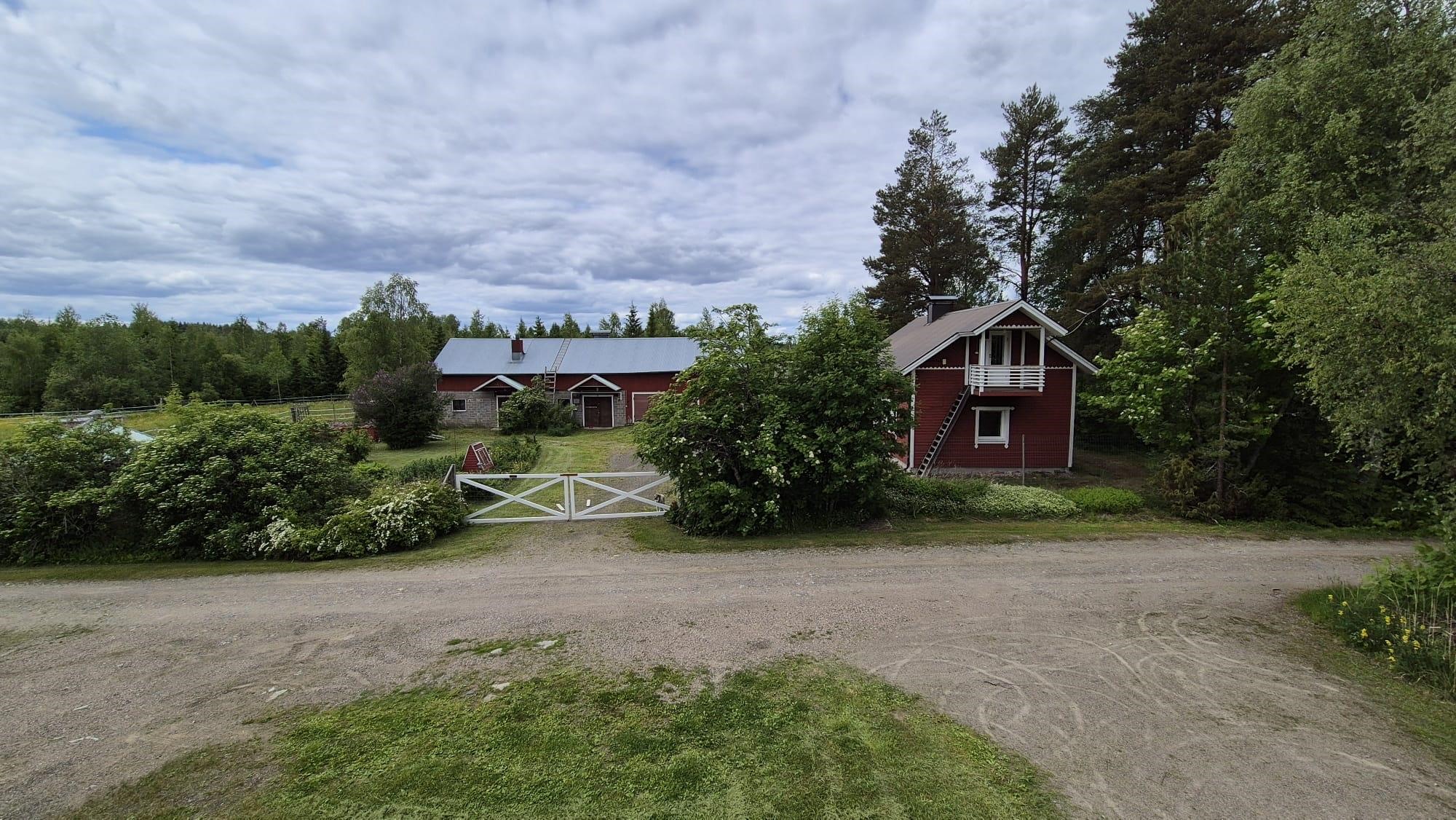 Kohdekuva 31