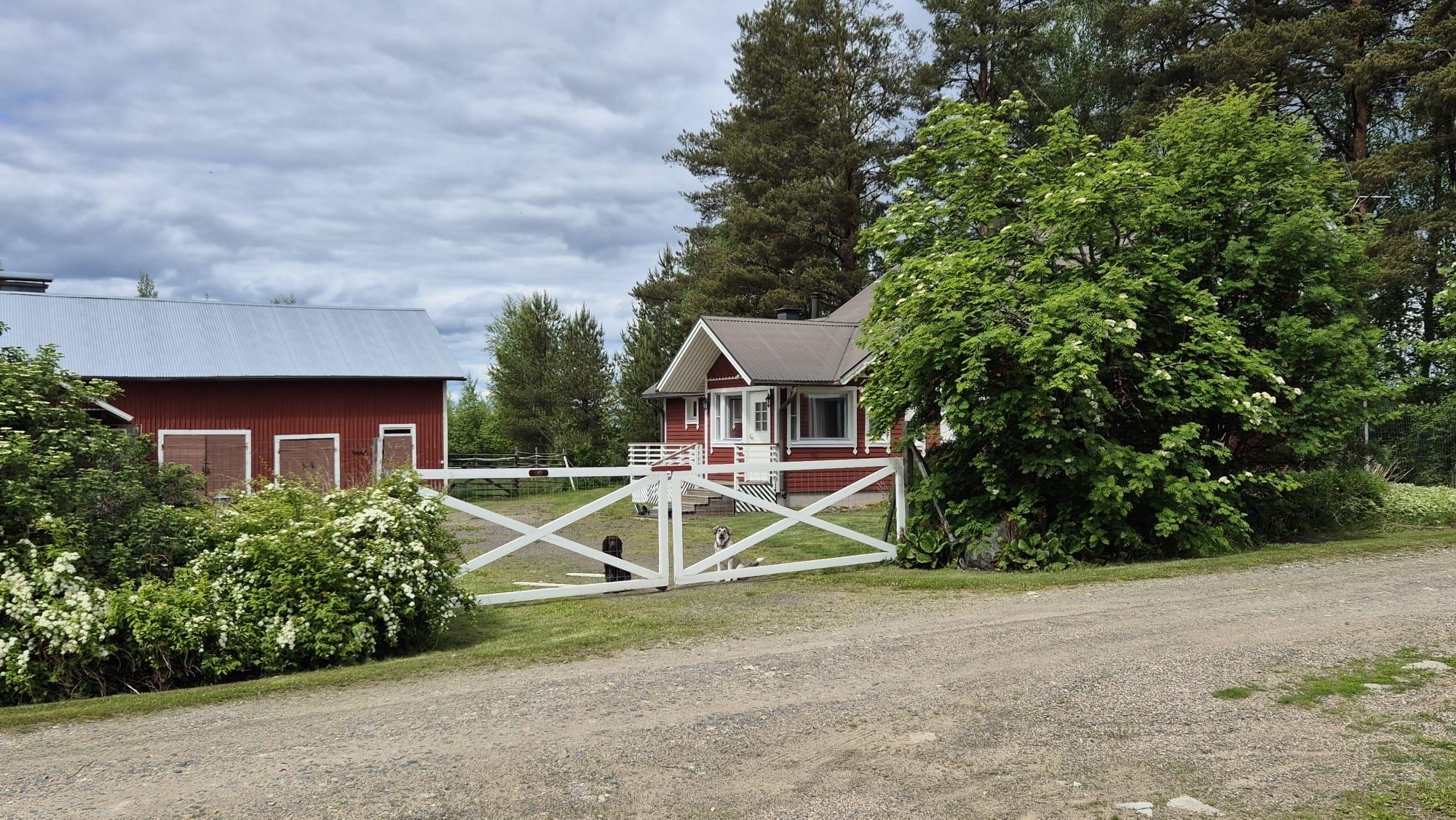Kohdekuva 30