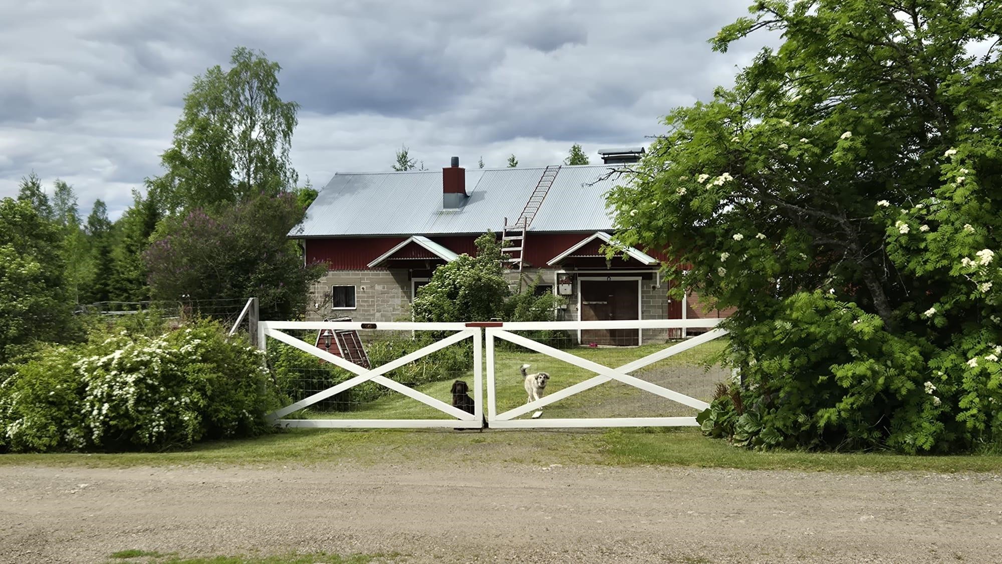 Kohdekuva 43