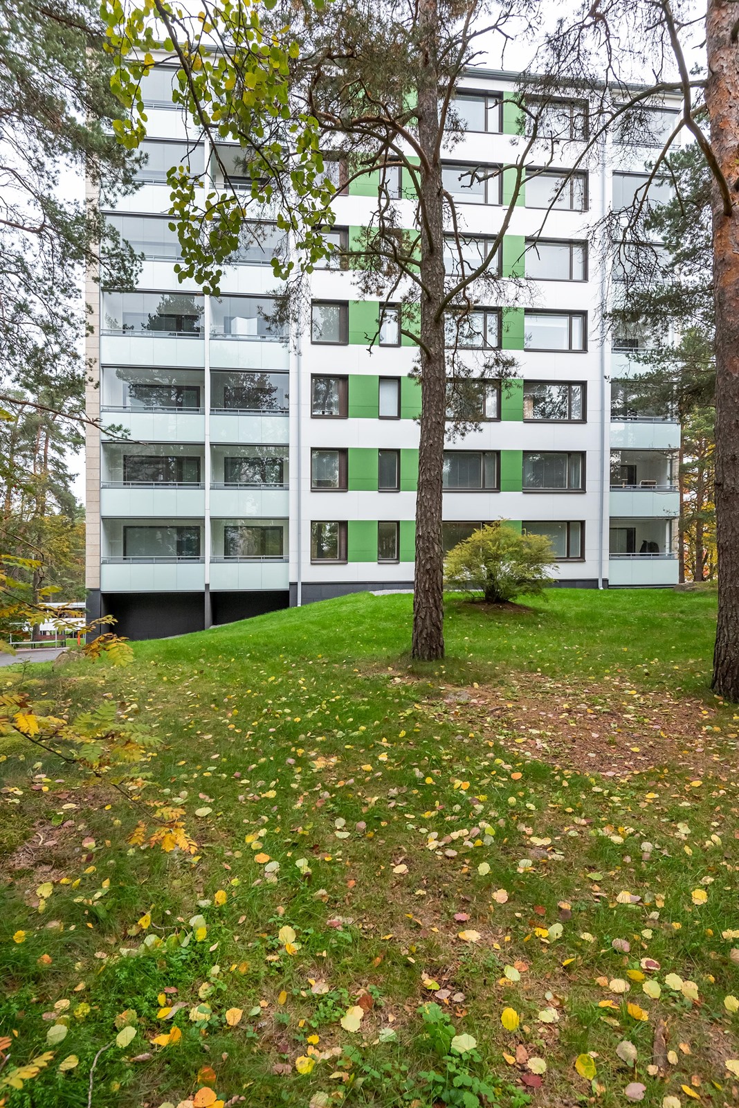Kohdekuva 19
