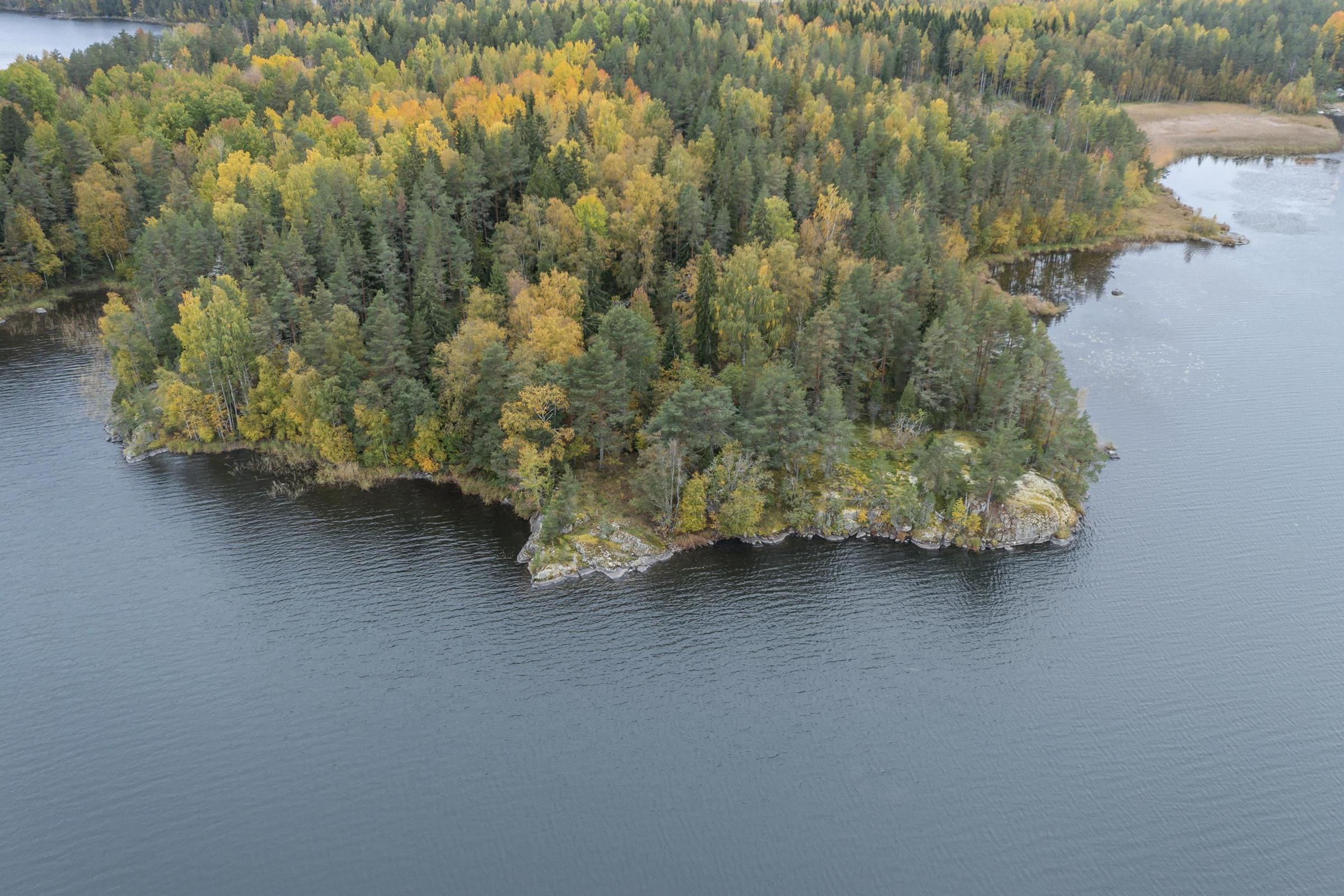 Kohdekuva 5