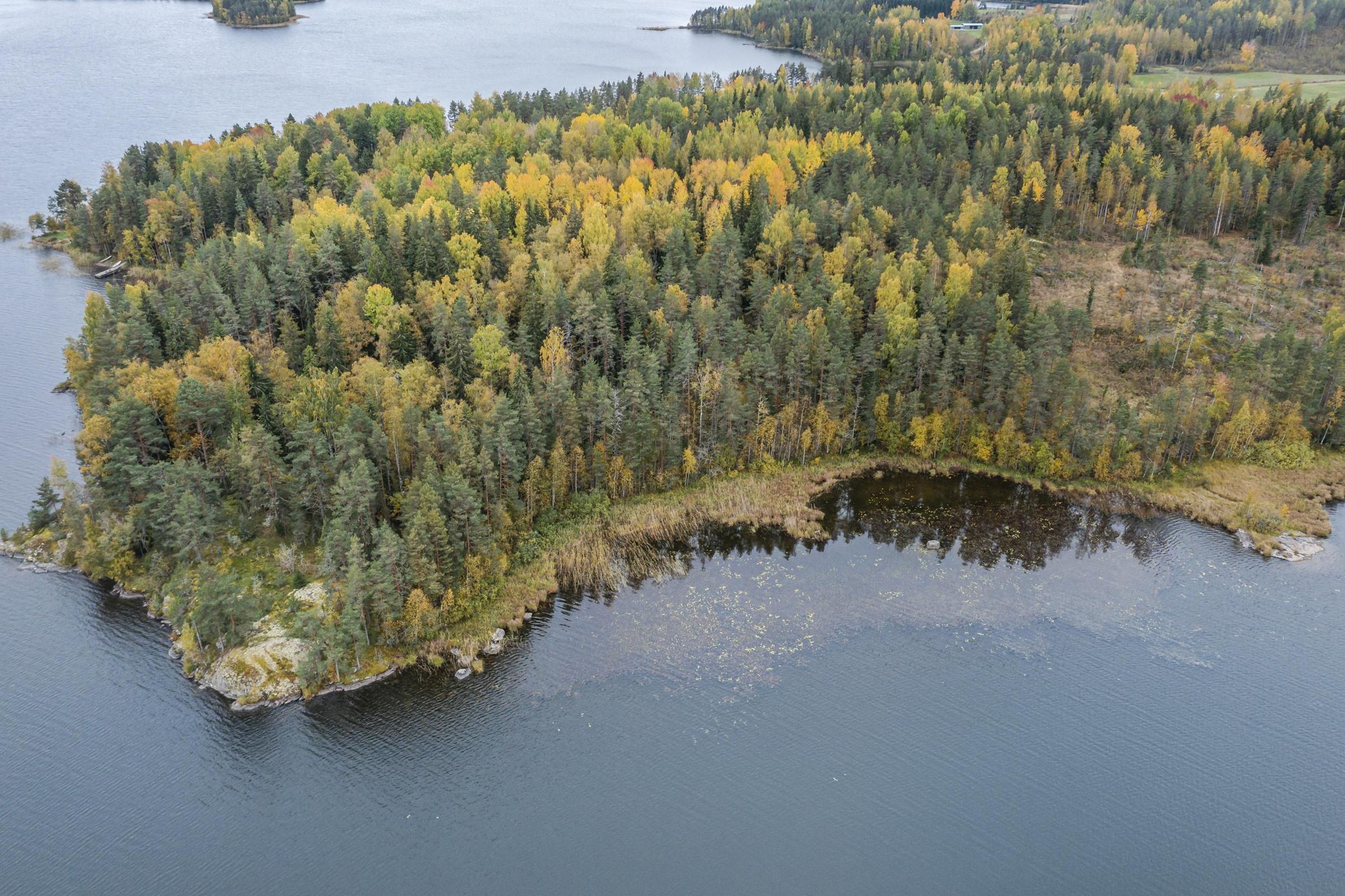 Kohdekuva 3