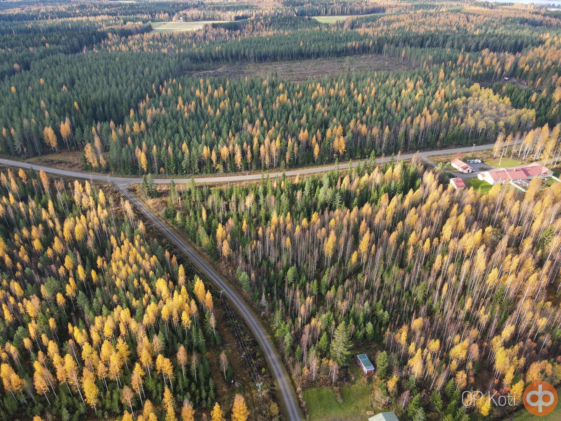 Kohdekuva 29