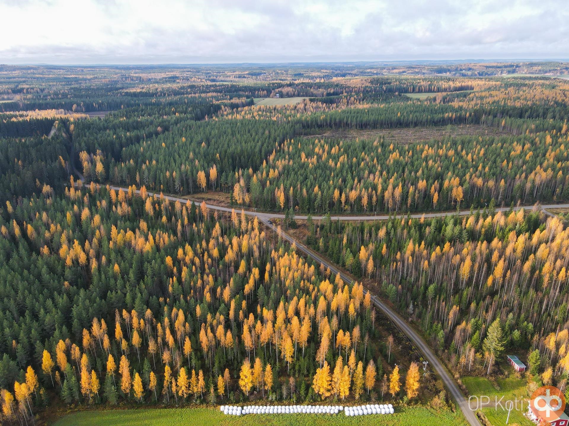 Kohdekuva 30
