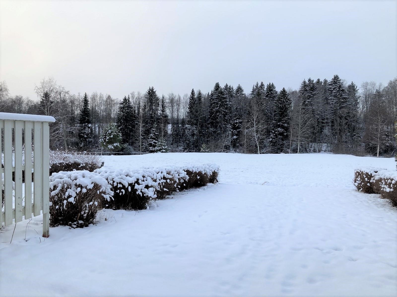 Kohdekuva 5