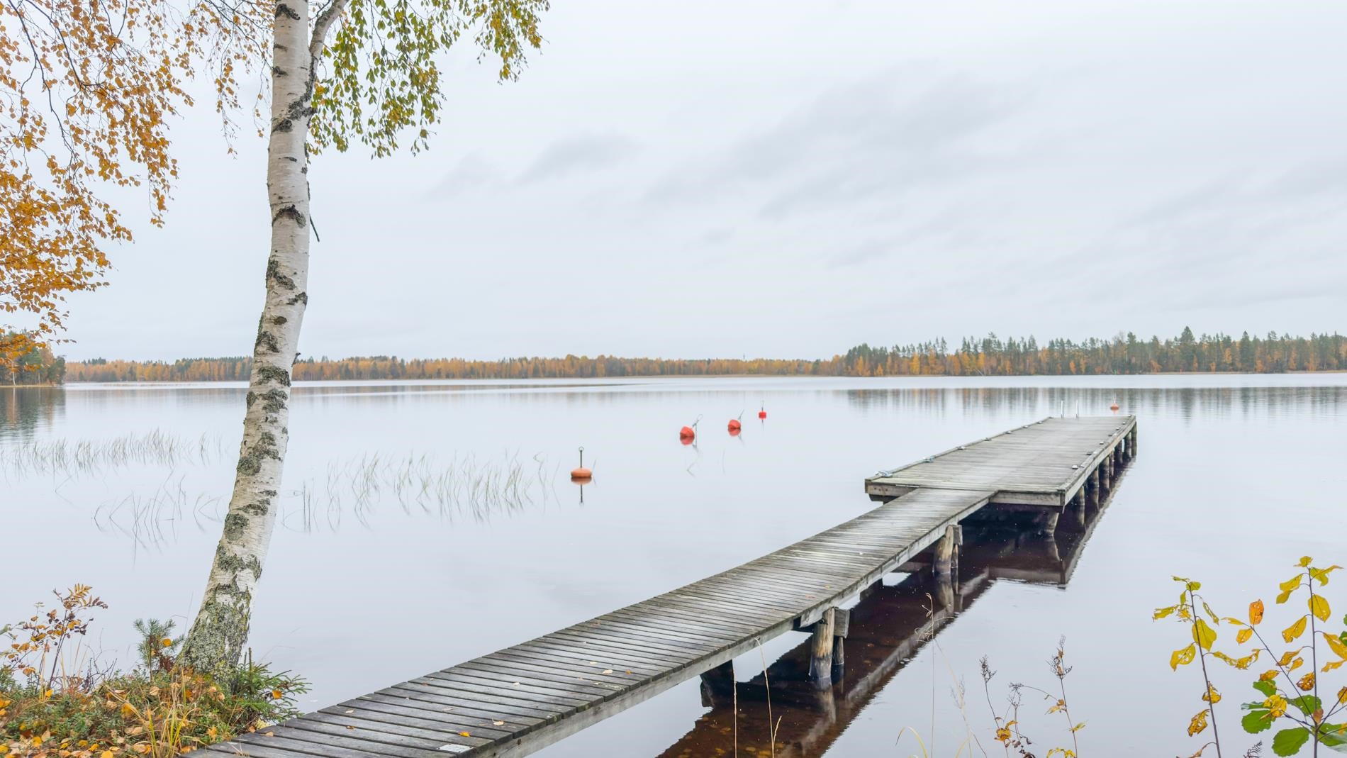 Kohdekuva 32