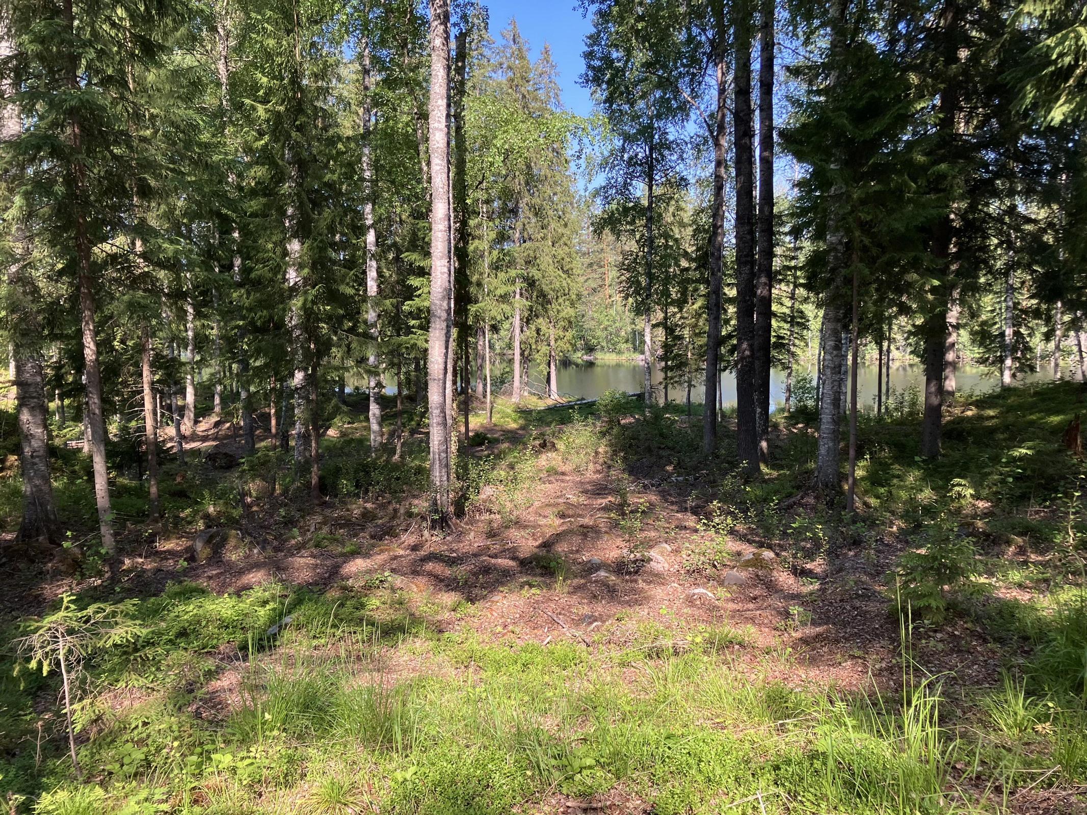 Kohdekuva 15