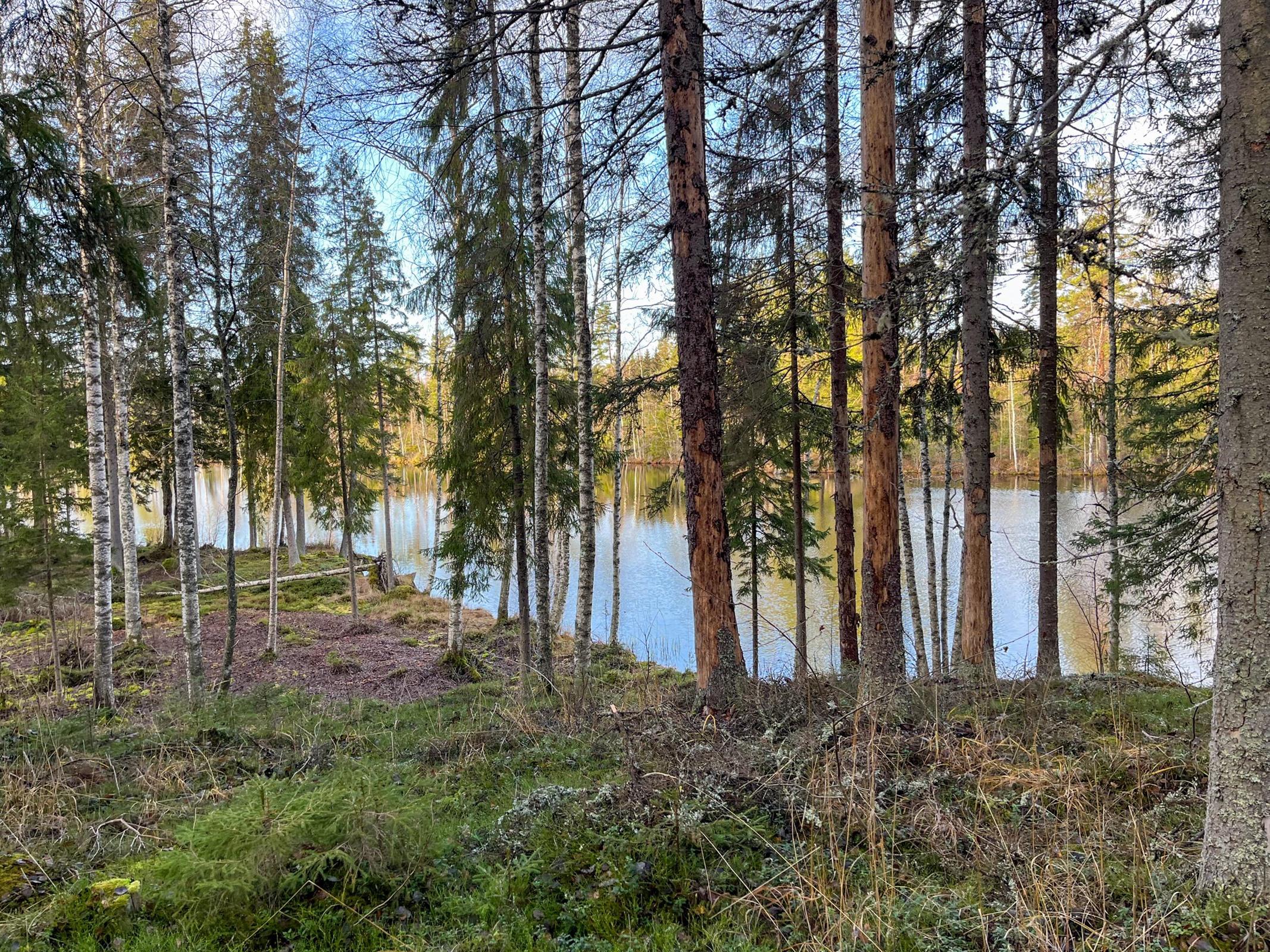 Kohdekuva 8