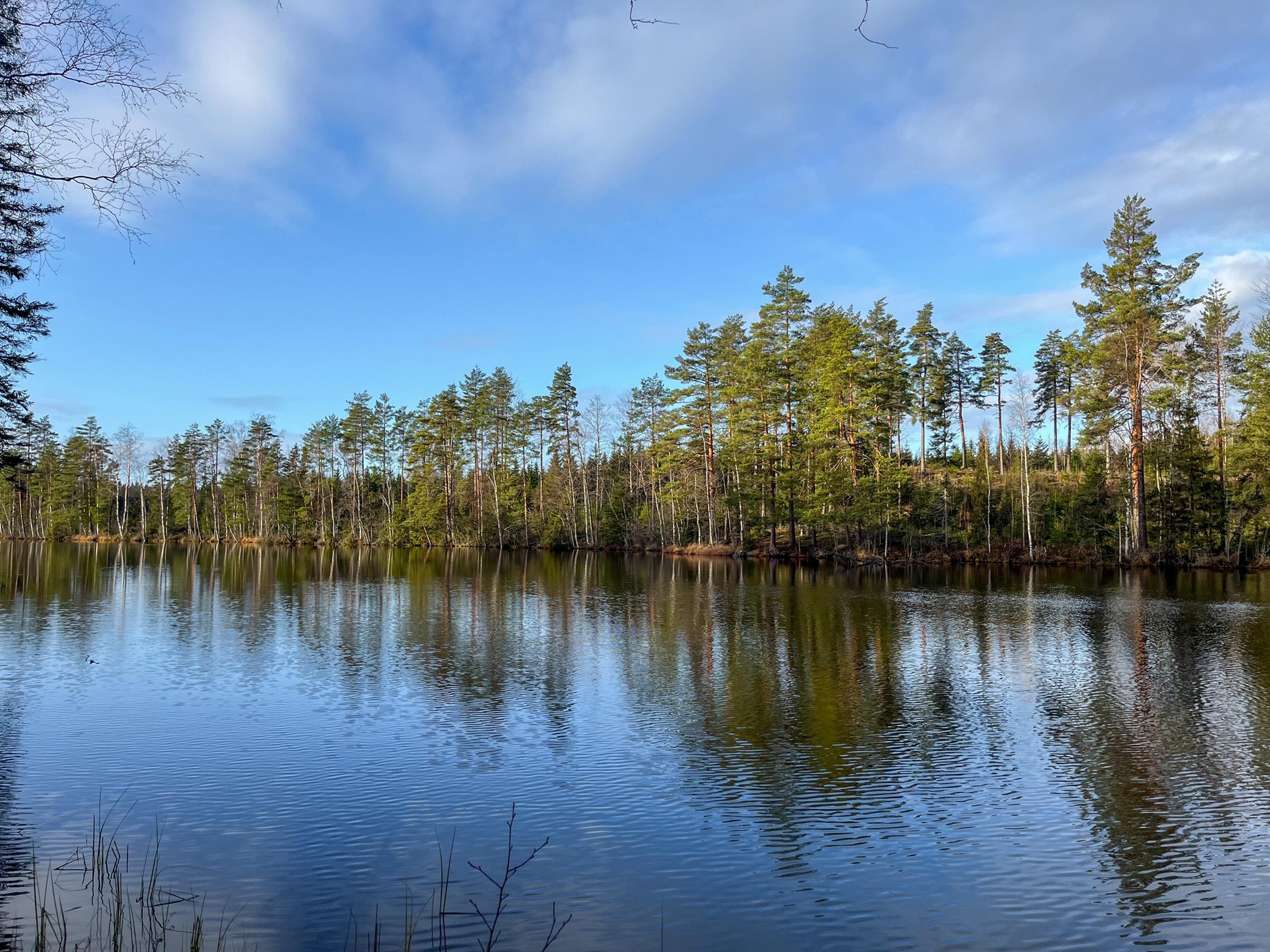 Kohdekuva 10