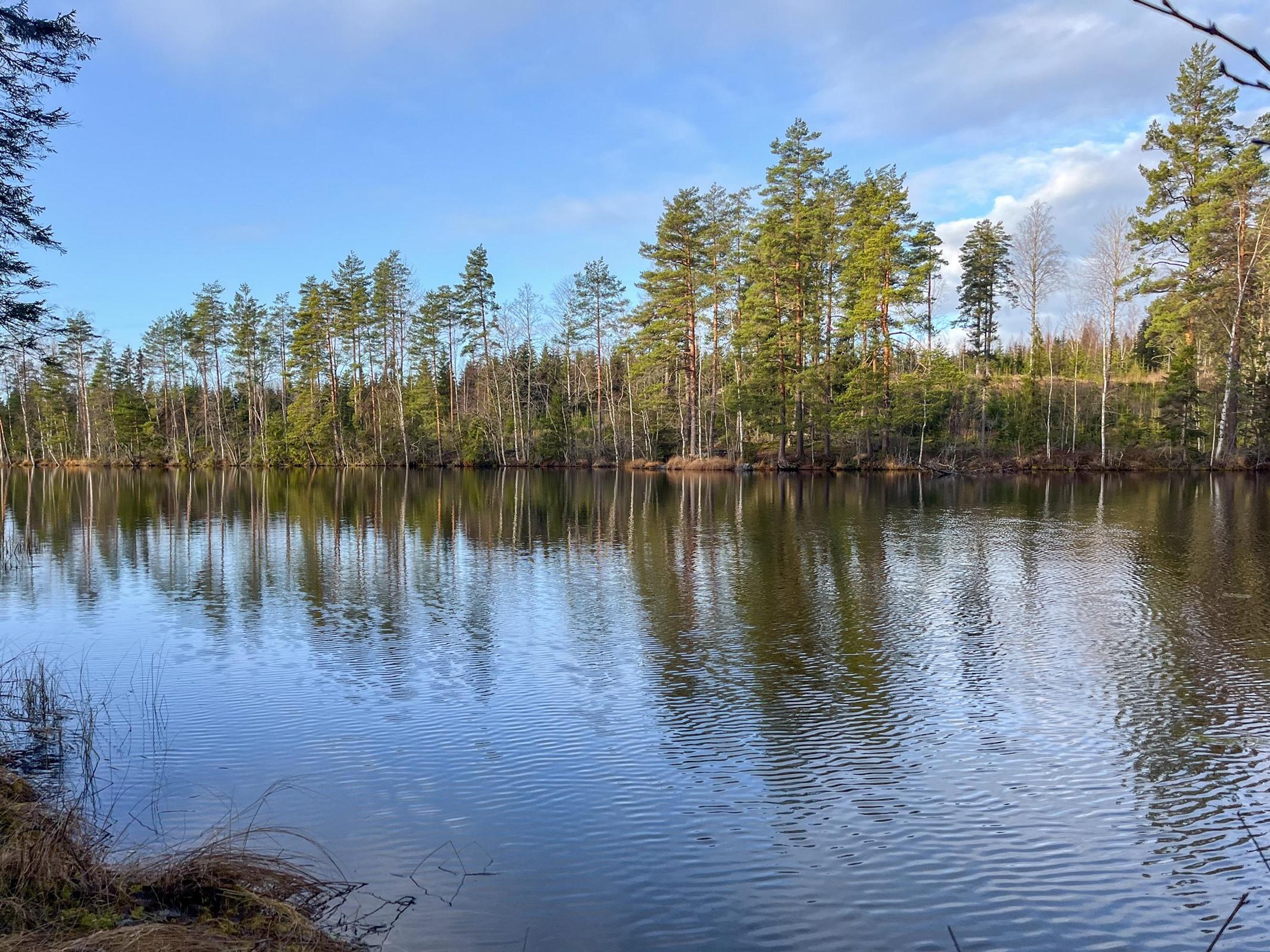 Kohdekuva 11