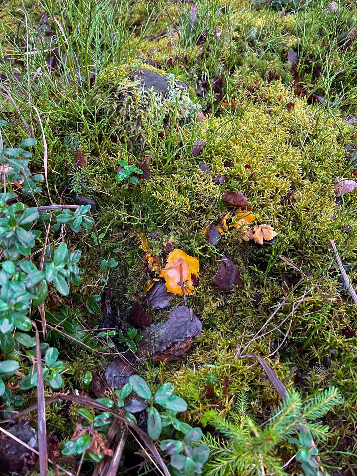 Kohdekuva 13