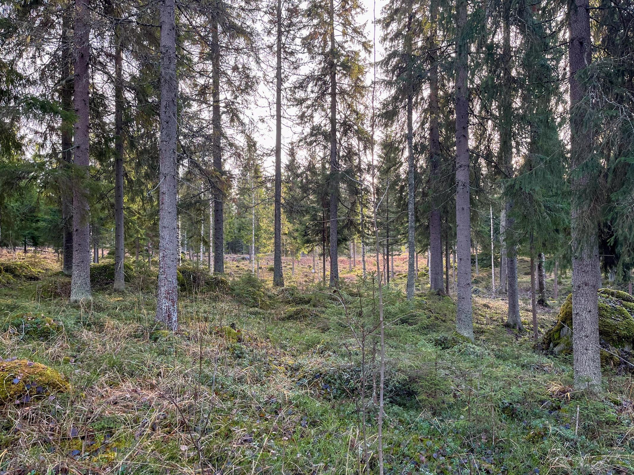 Kohdekuva 9