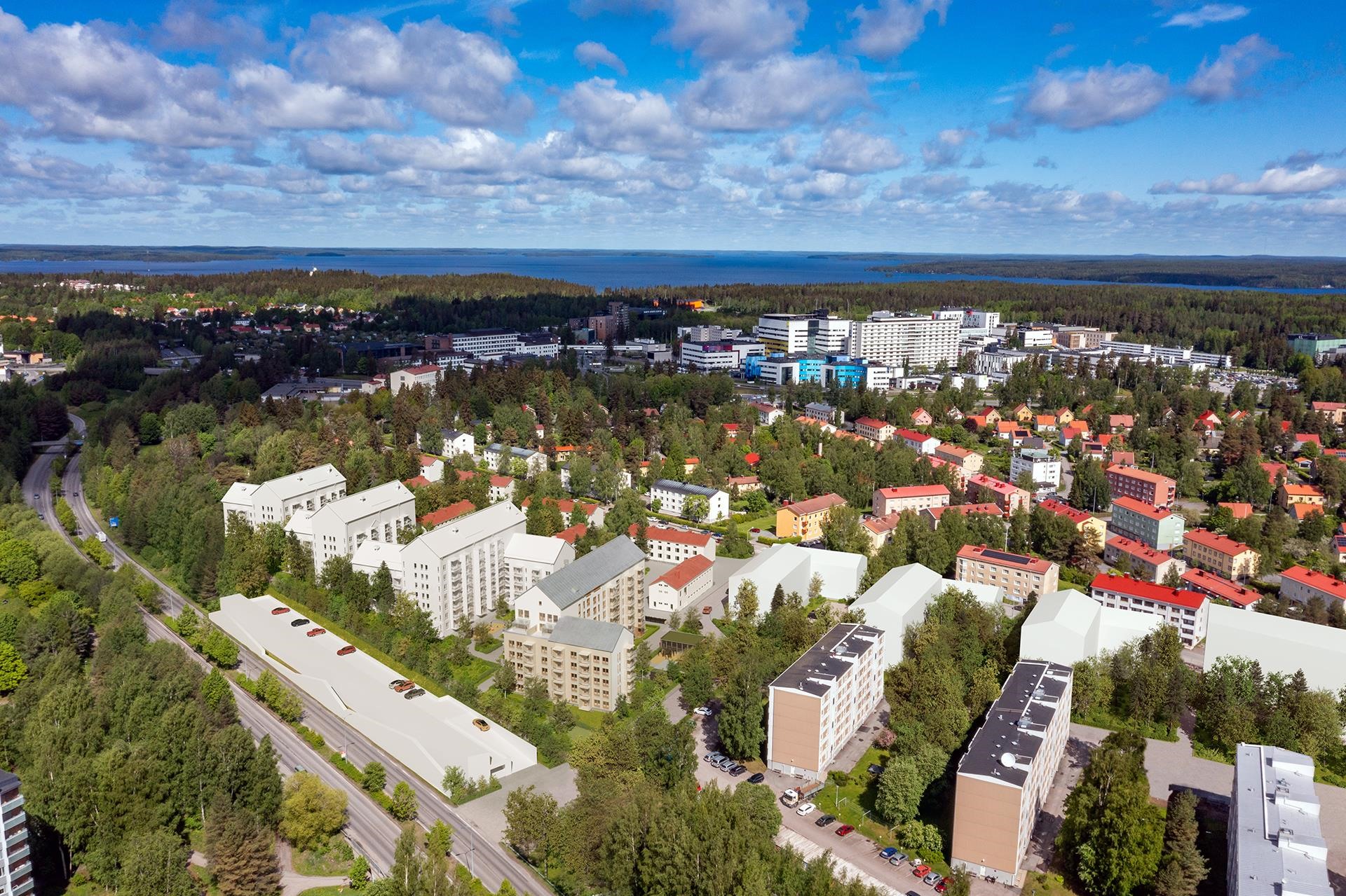 Kohdekuva 24