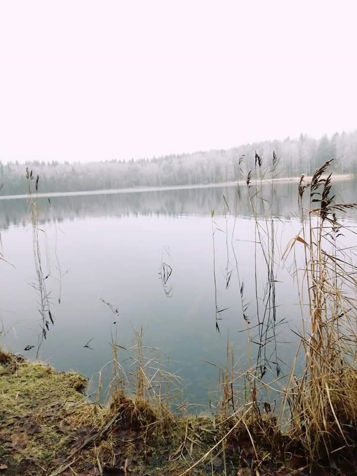 Kohdekuva 11