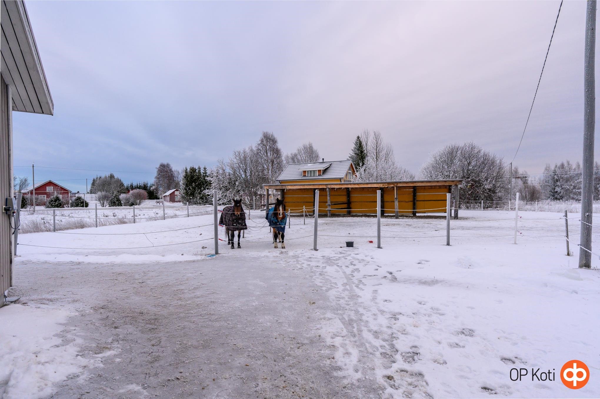 Kohdekuva 46