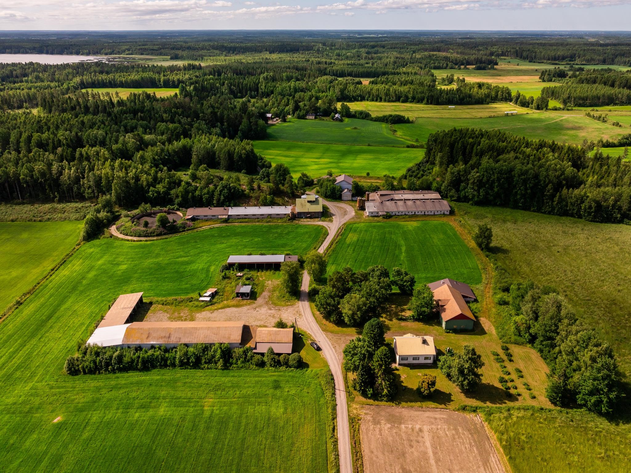 Kohdekuva 6