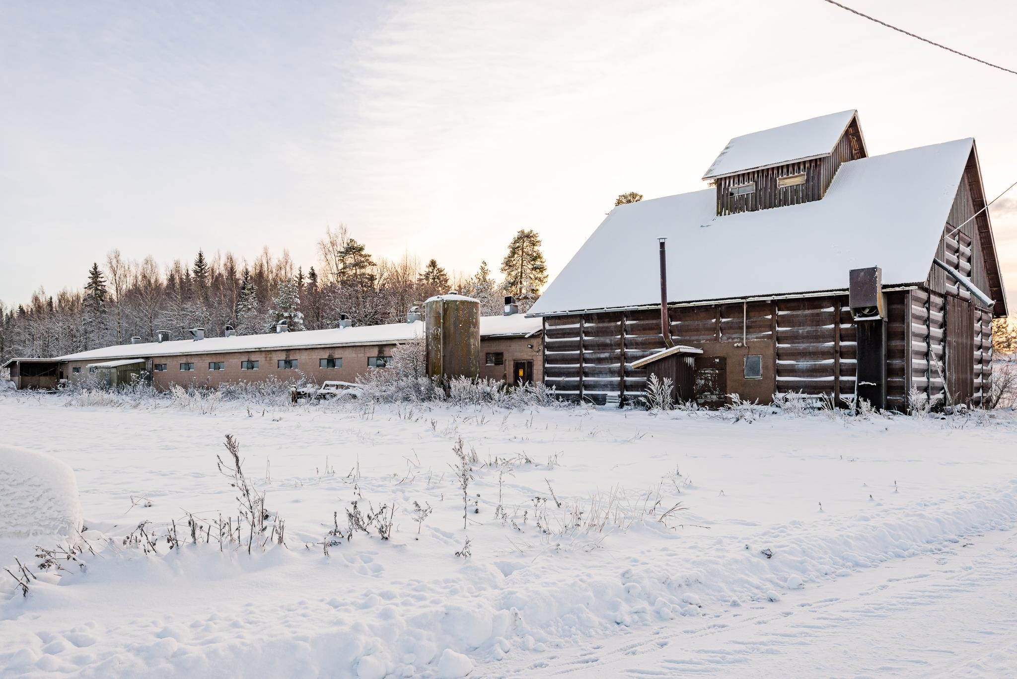 Kohdekuva 6