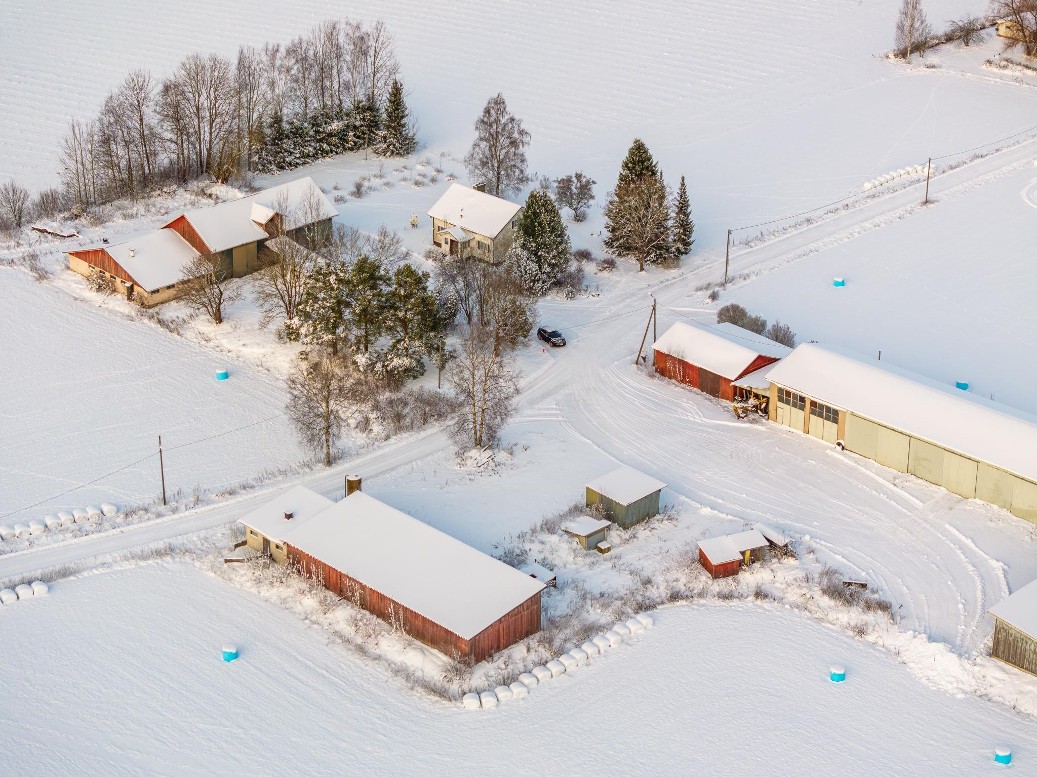 Kohdekuva 4