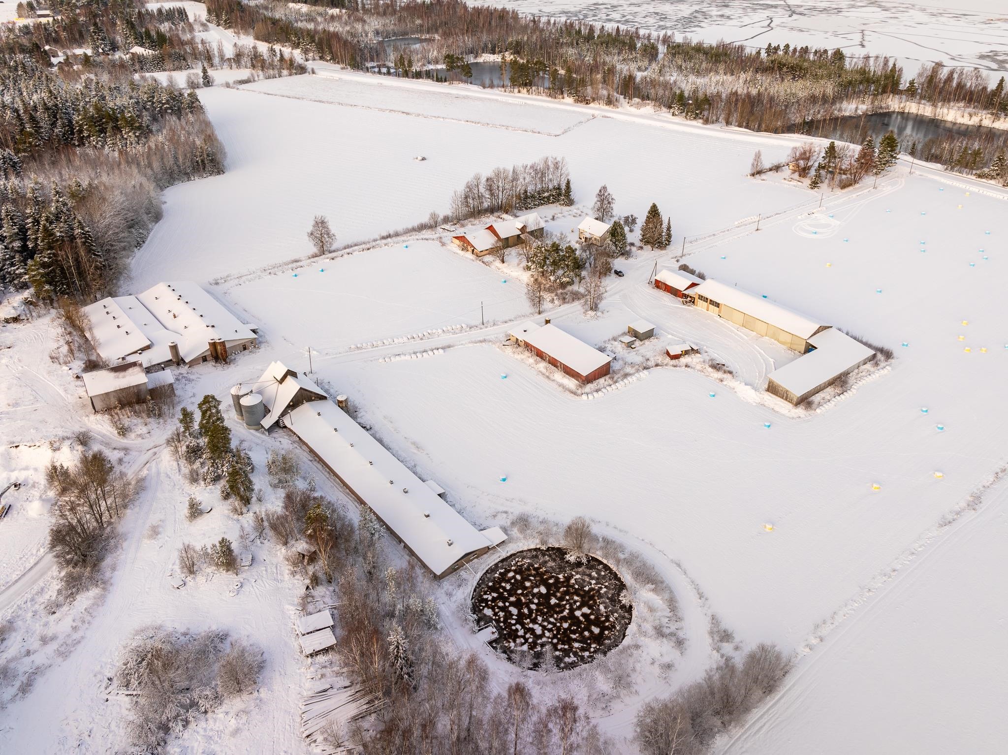 Kohdekuva 2