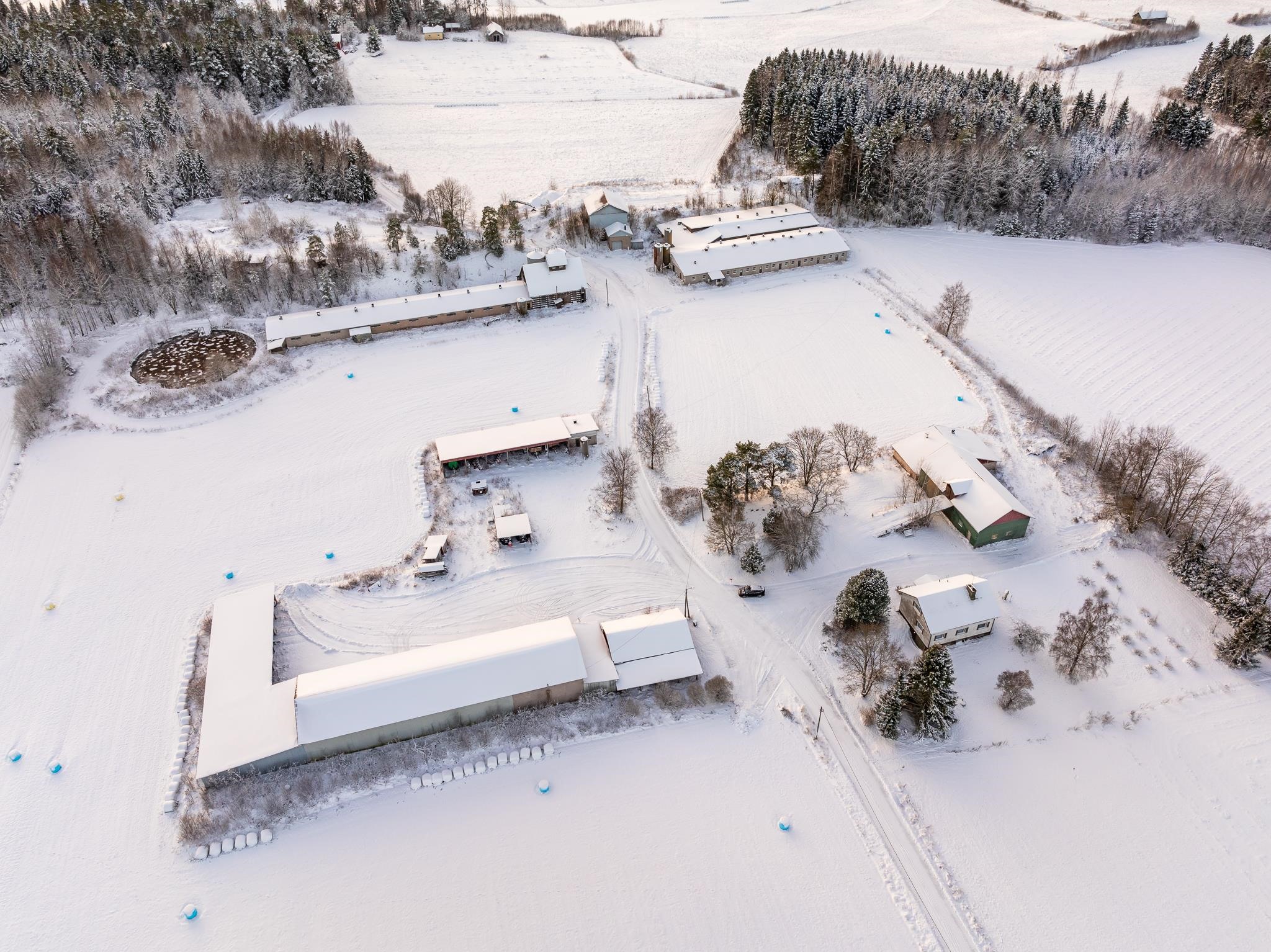 Kohdekuva 1