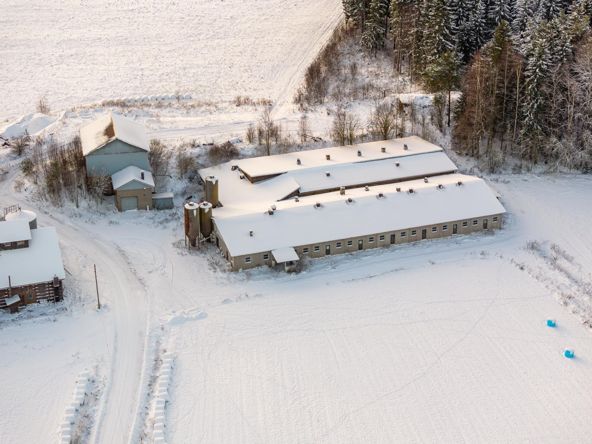 Kohdekuva 3