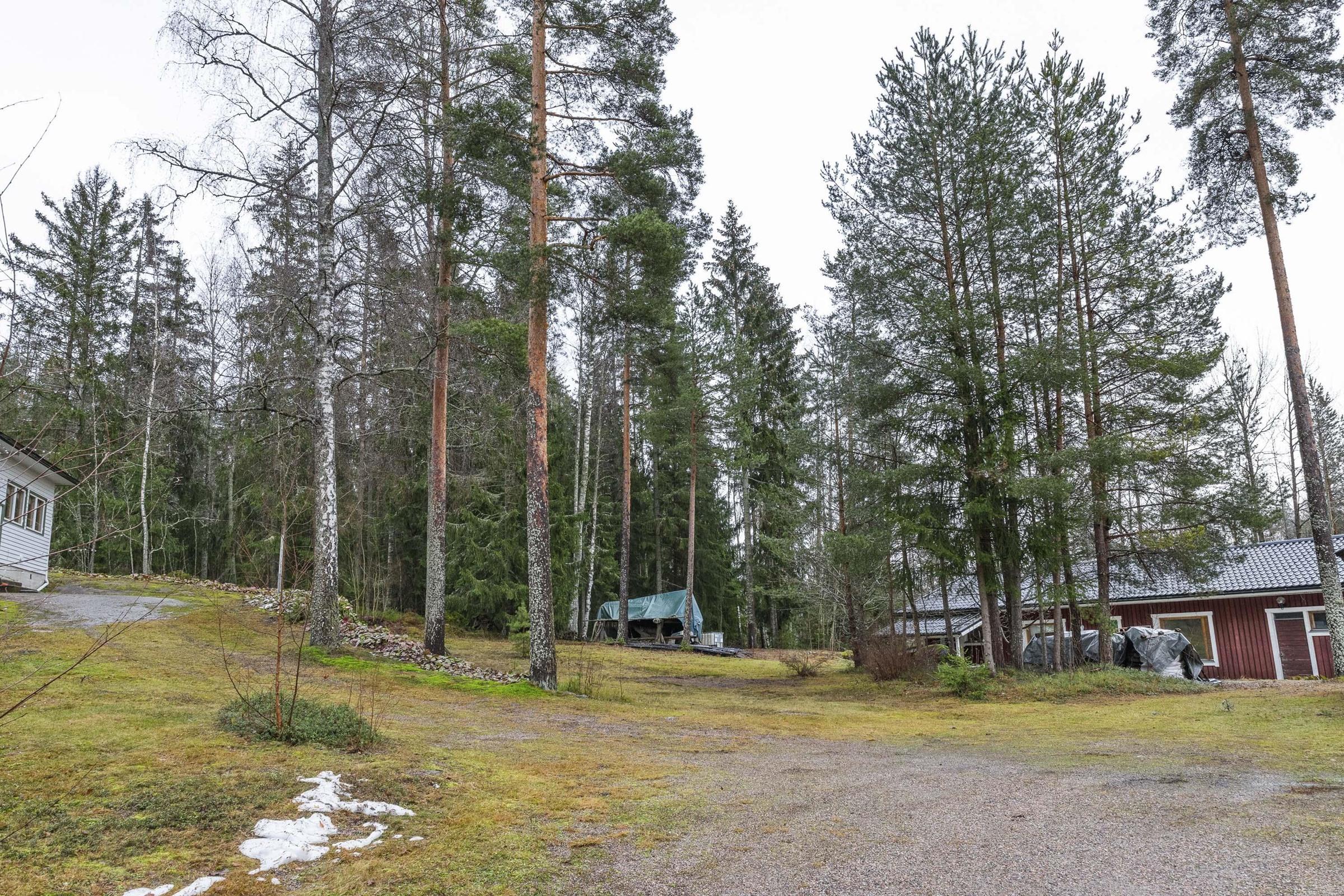 Kohdekuva 22