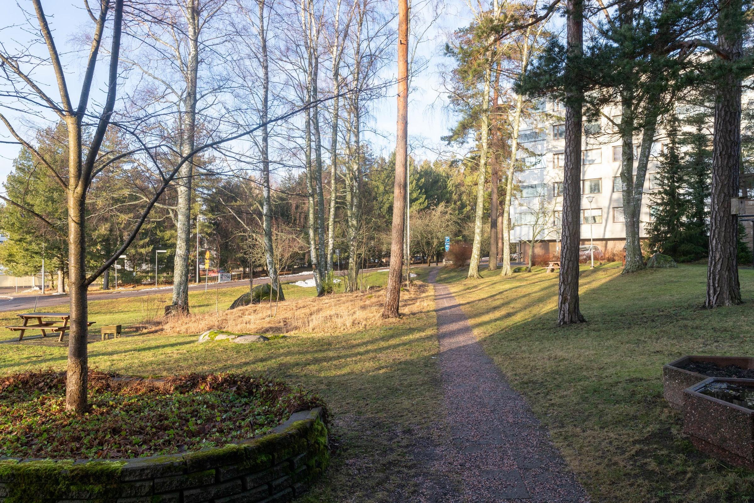 Kohdekuva 19