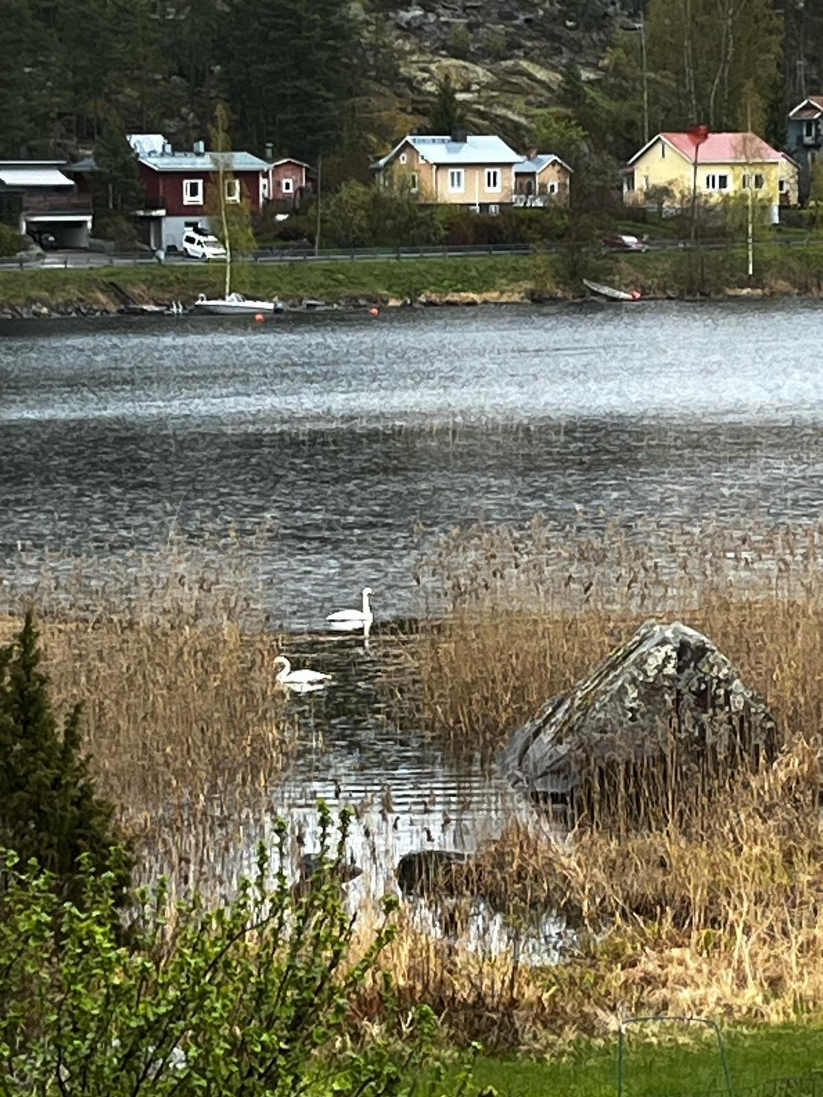 Kohdekuva 5