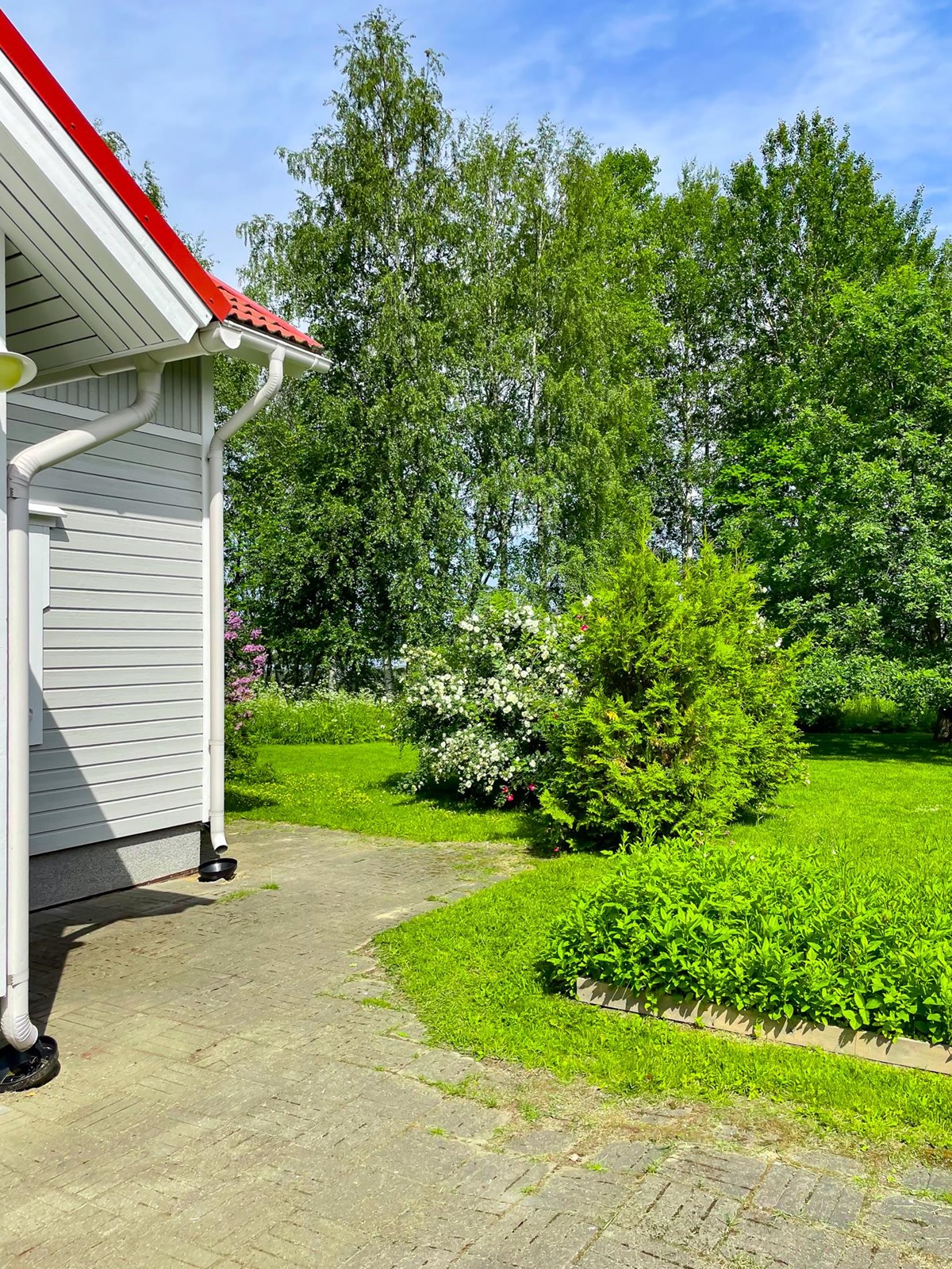 Kohdekuva 42