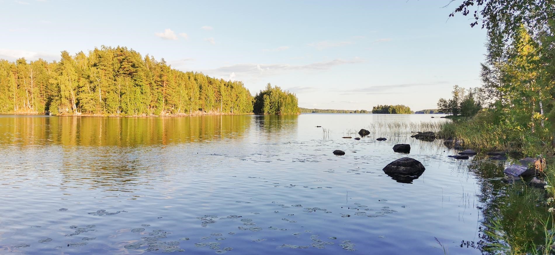Kohdekuva 44
