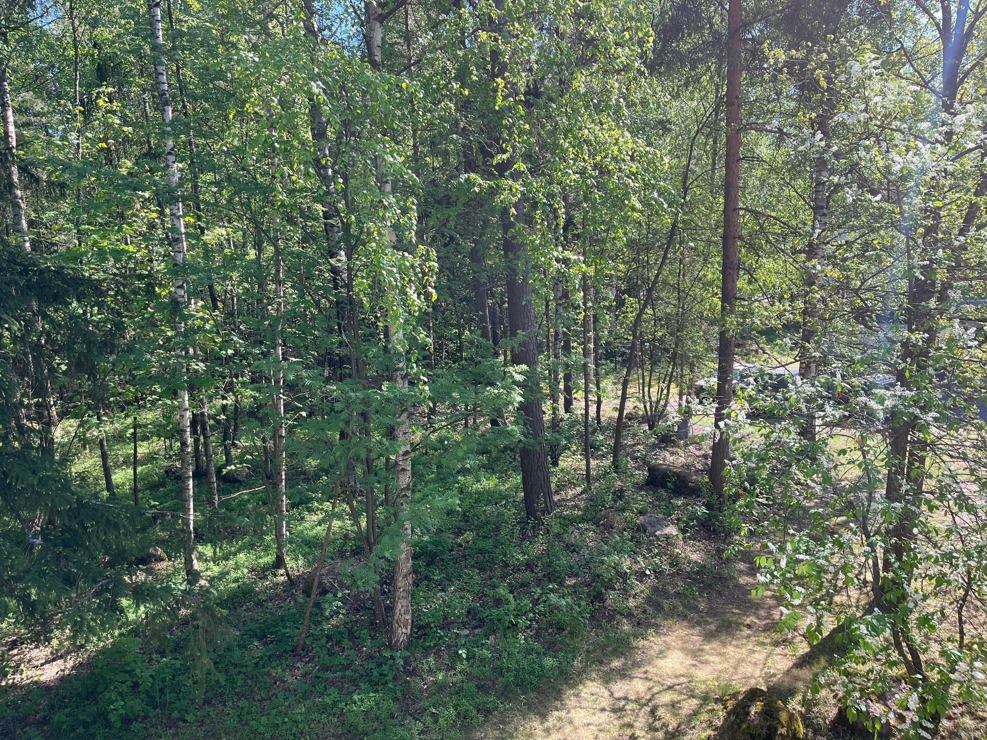 Kohdekuva 8