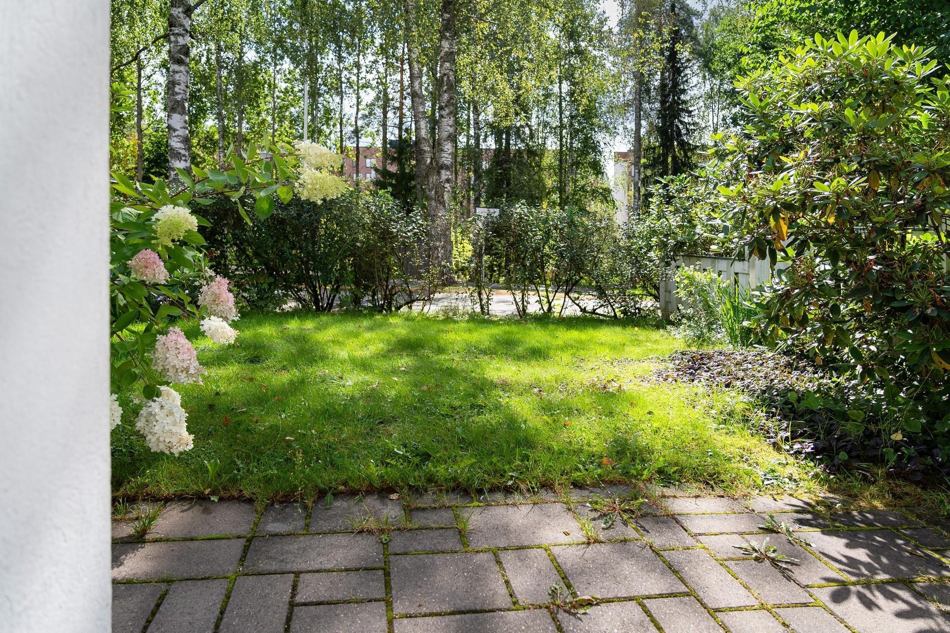 Kohdekuva 23