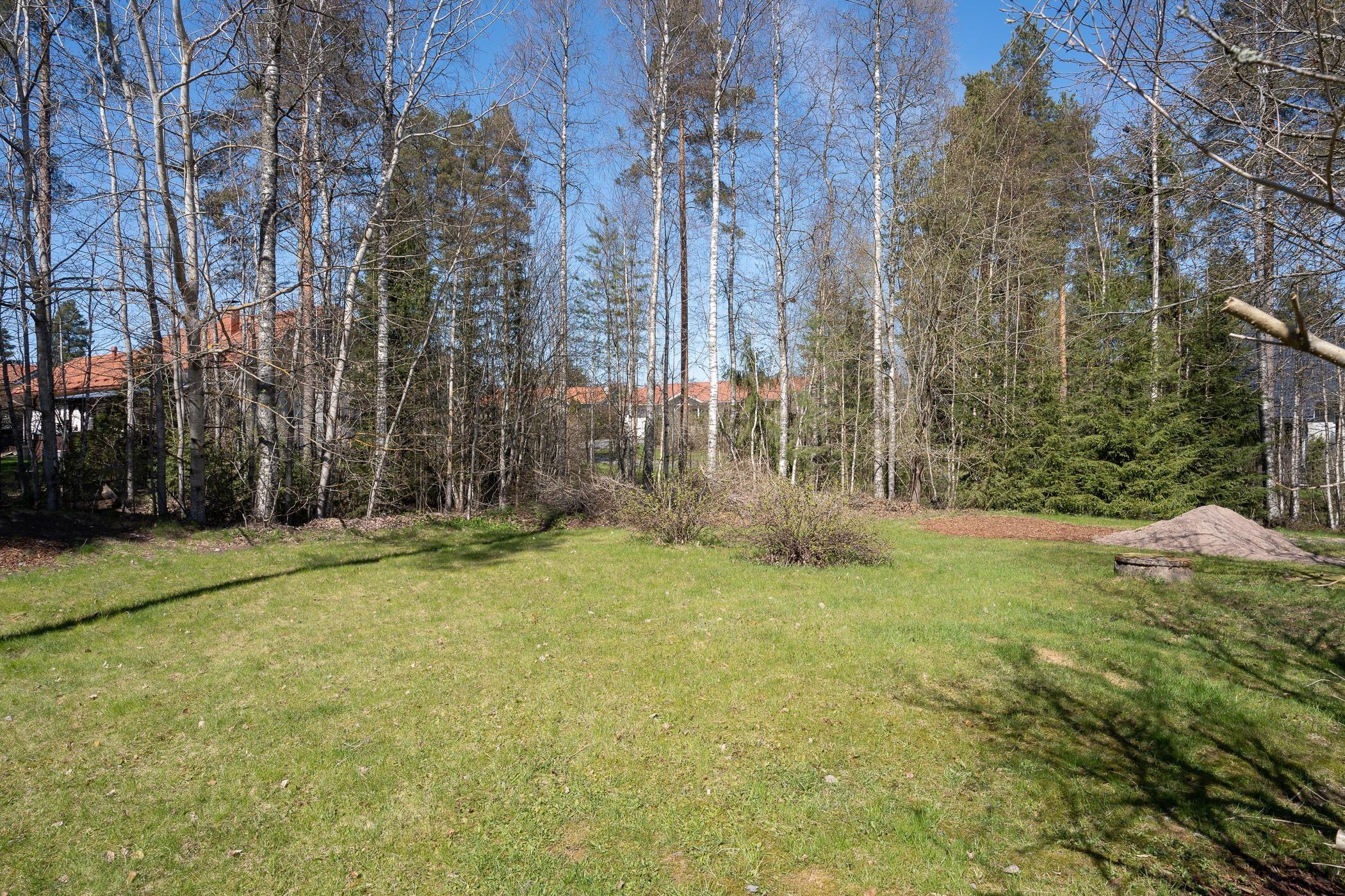 Kohdekuva 24