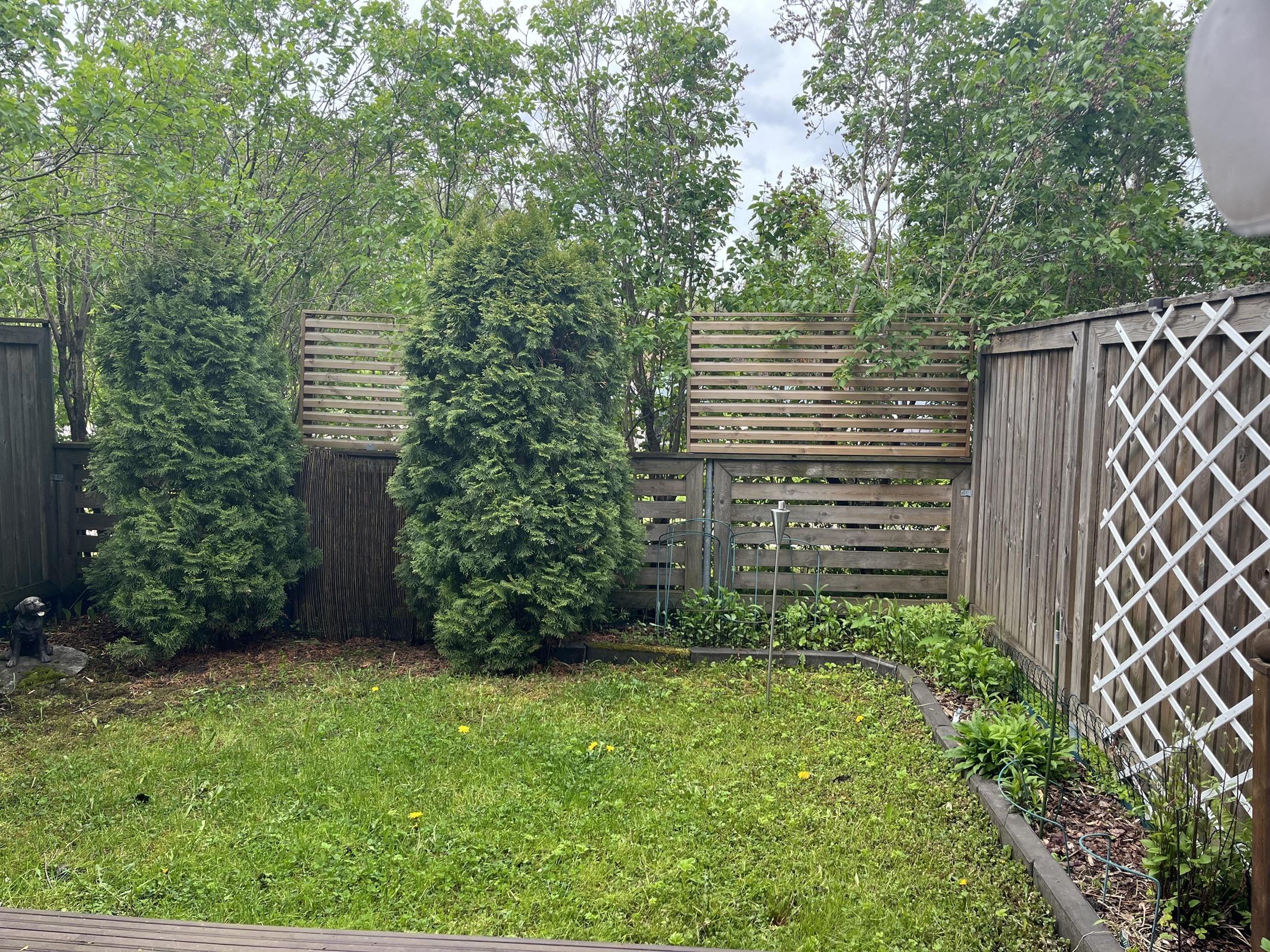 Kohdekuva 30