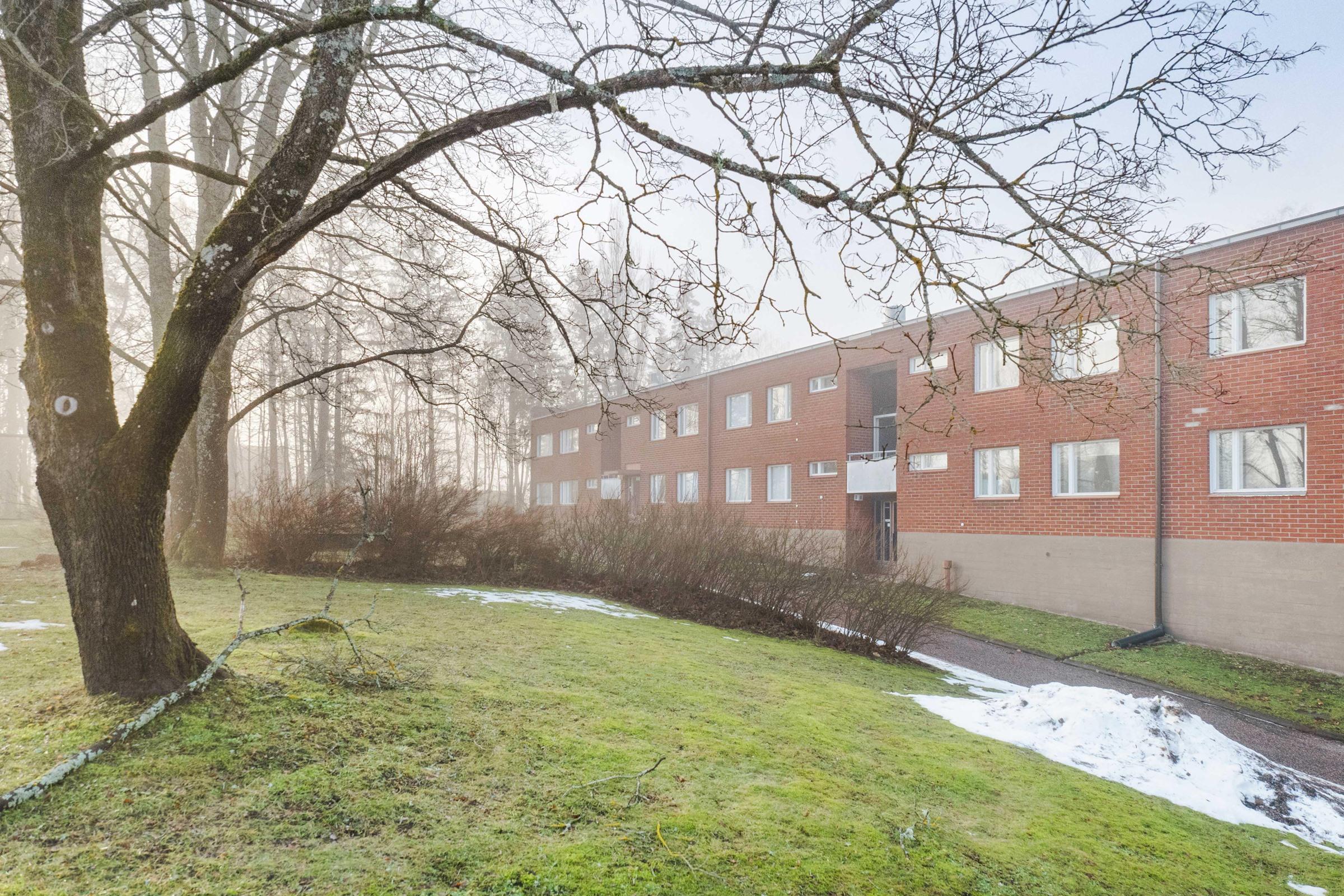 Rauhallinen ja kaunis pihapiiri