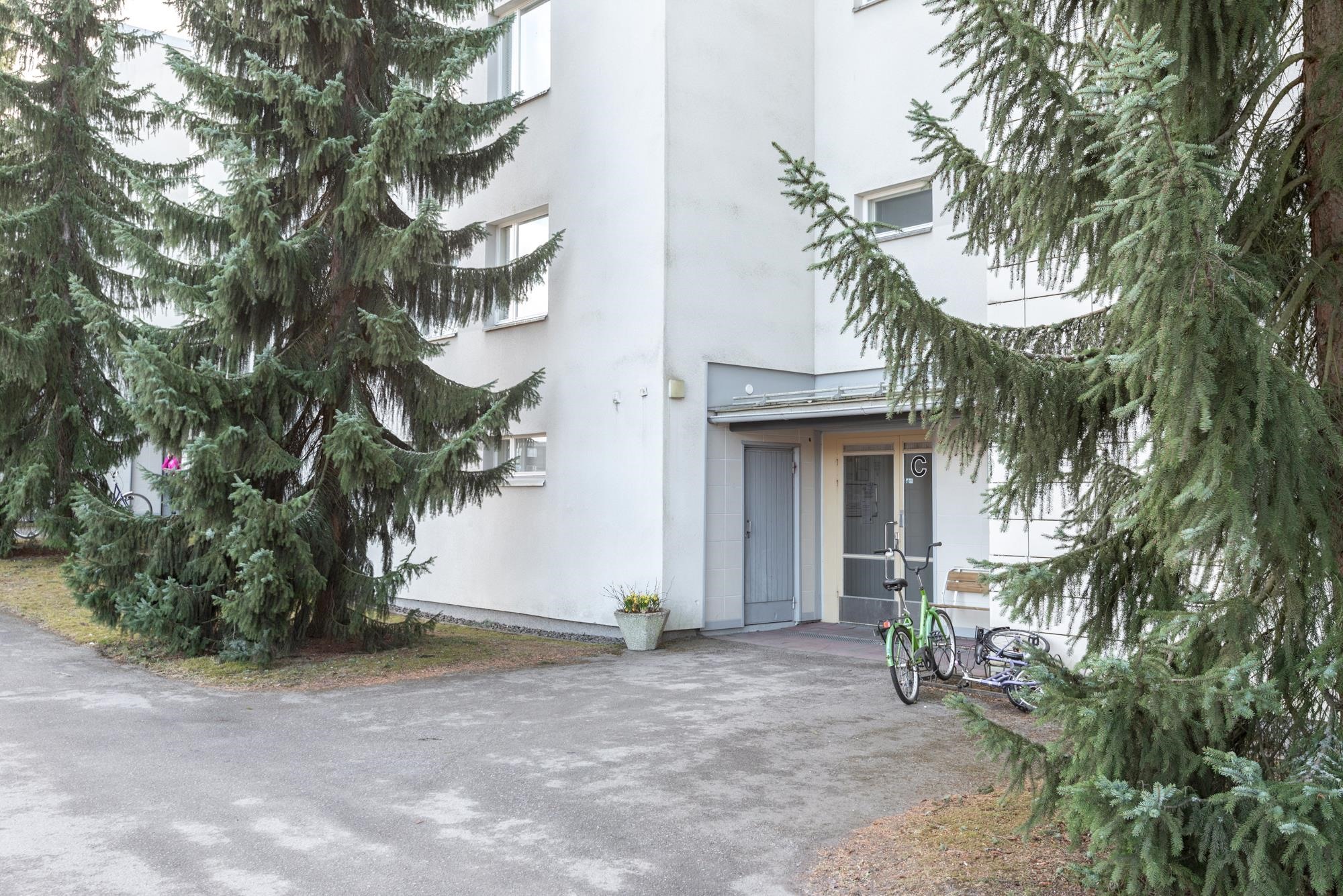 Kohdekuva 19