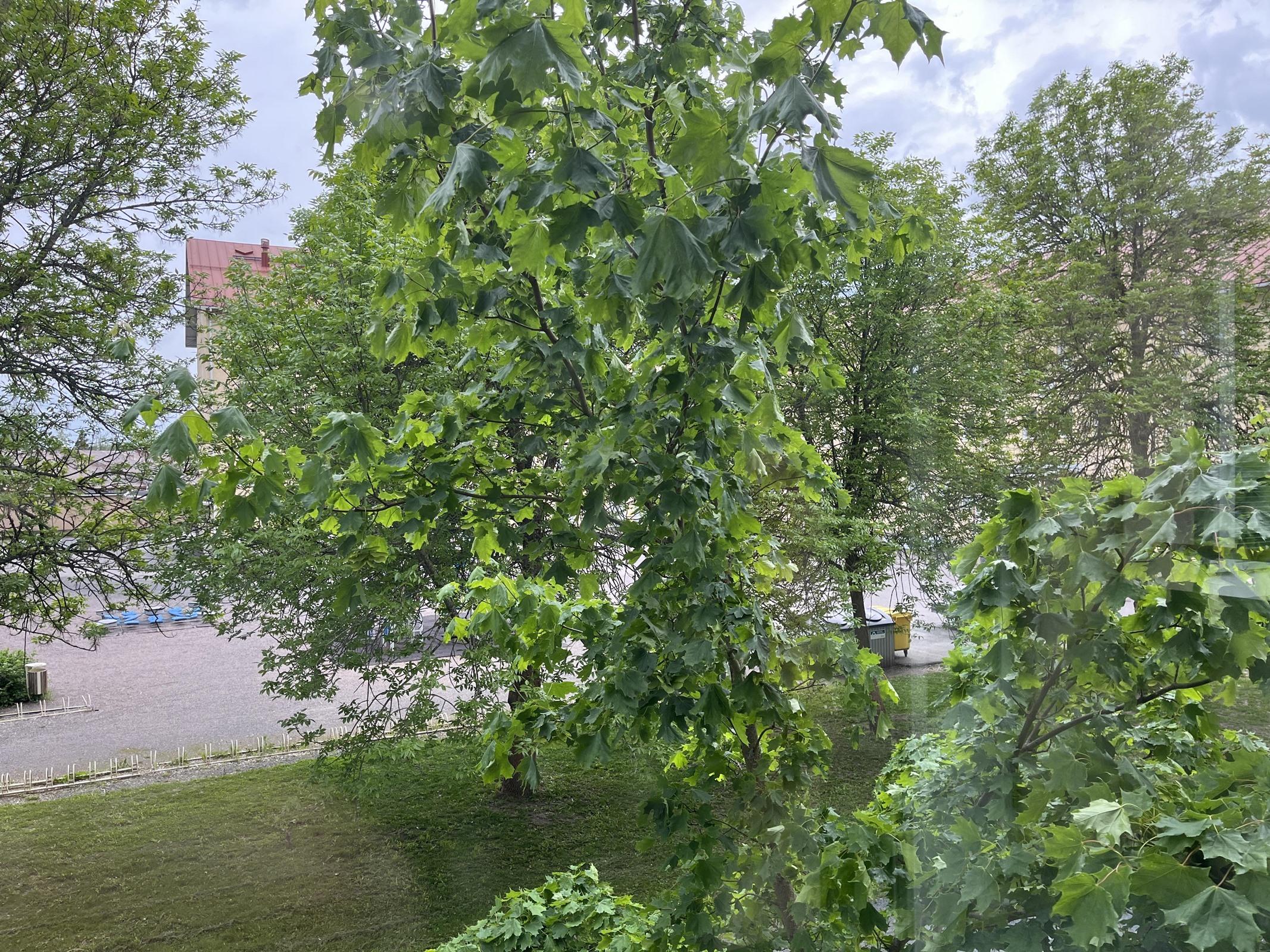 Kohdekuva 11