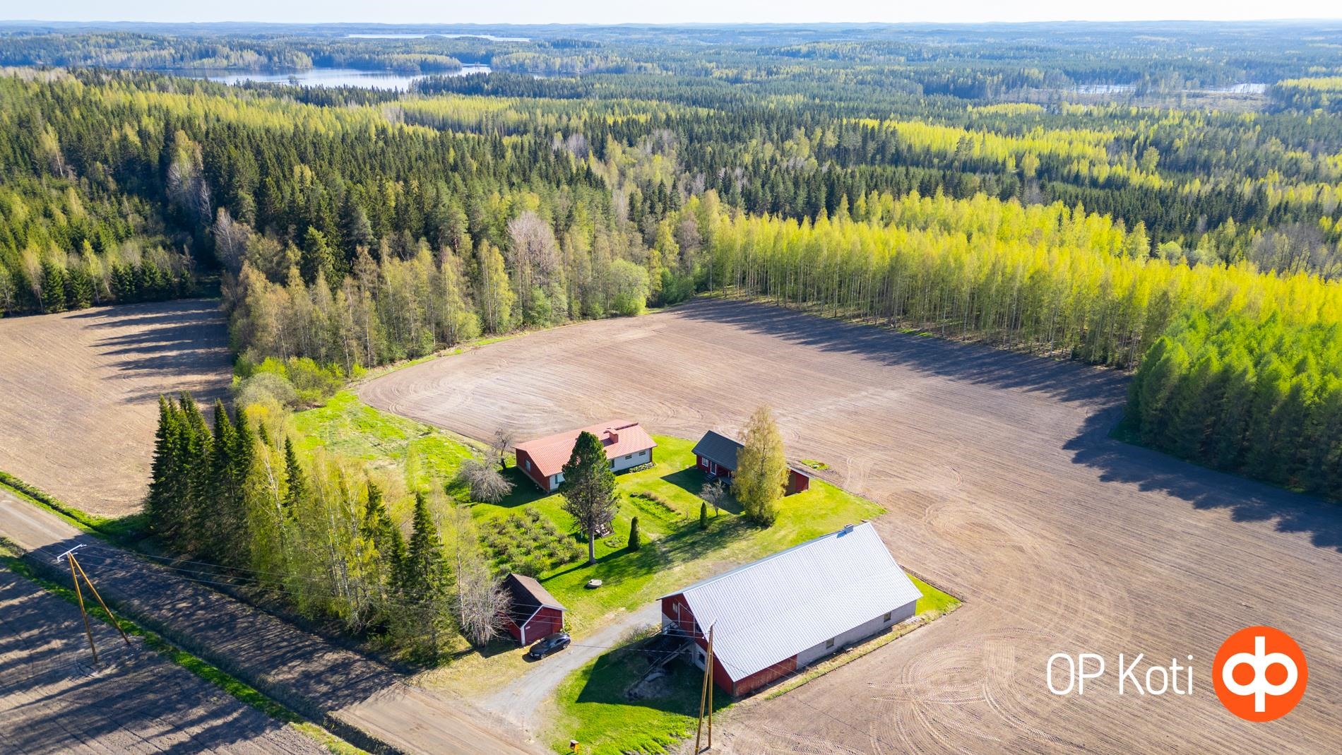 Kohdekuva 21