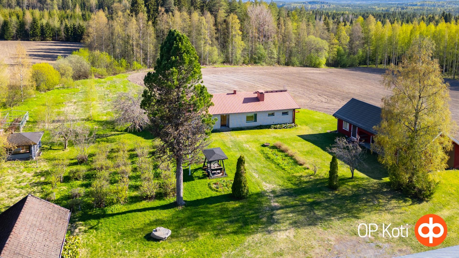 Kohdekuva 25