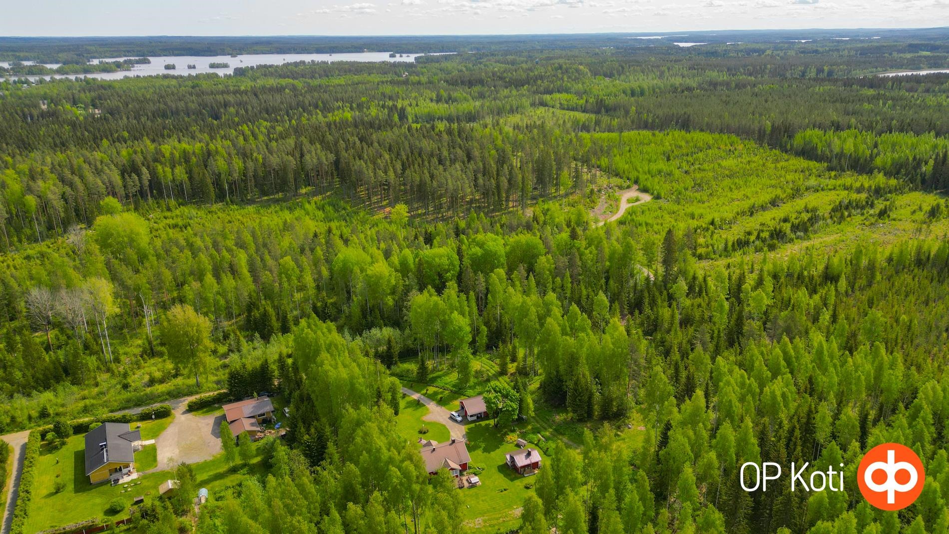 Kohdekuva 6