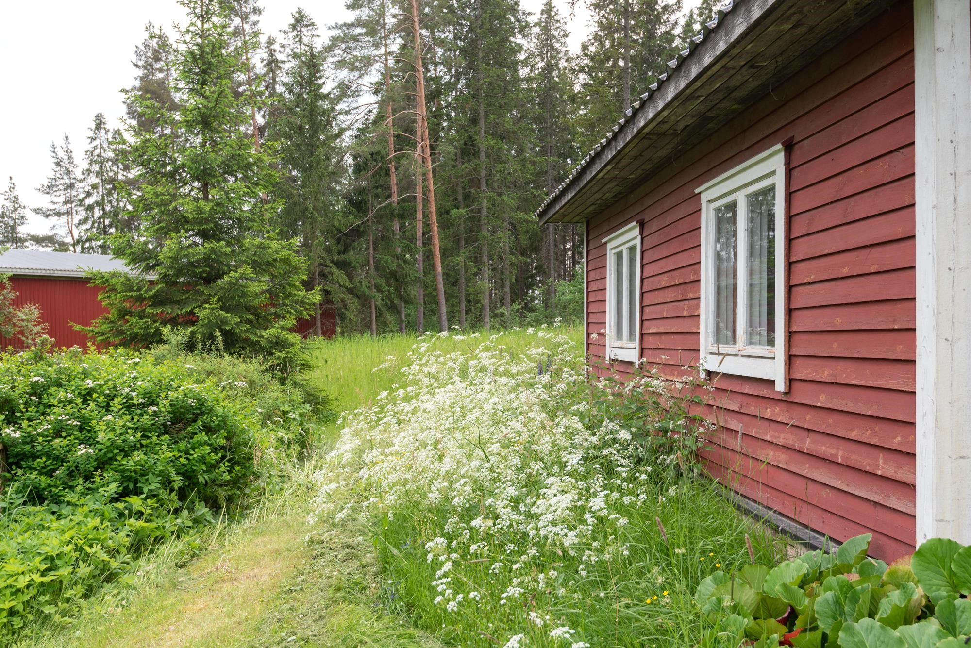 Kohdekuva 8