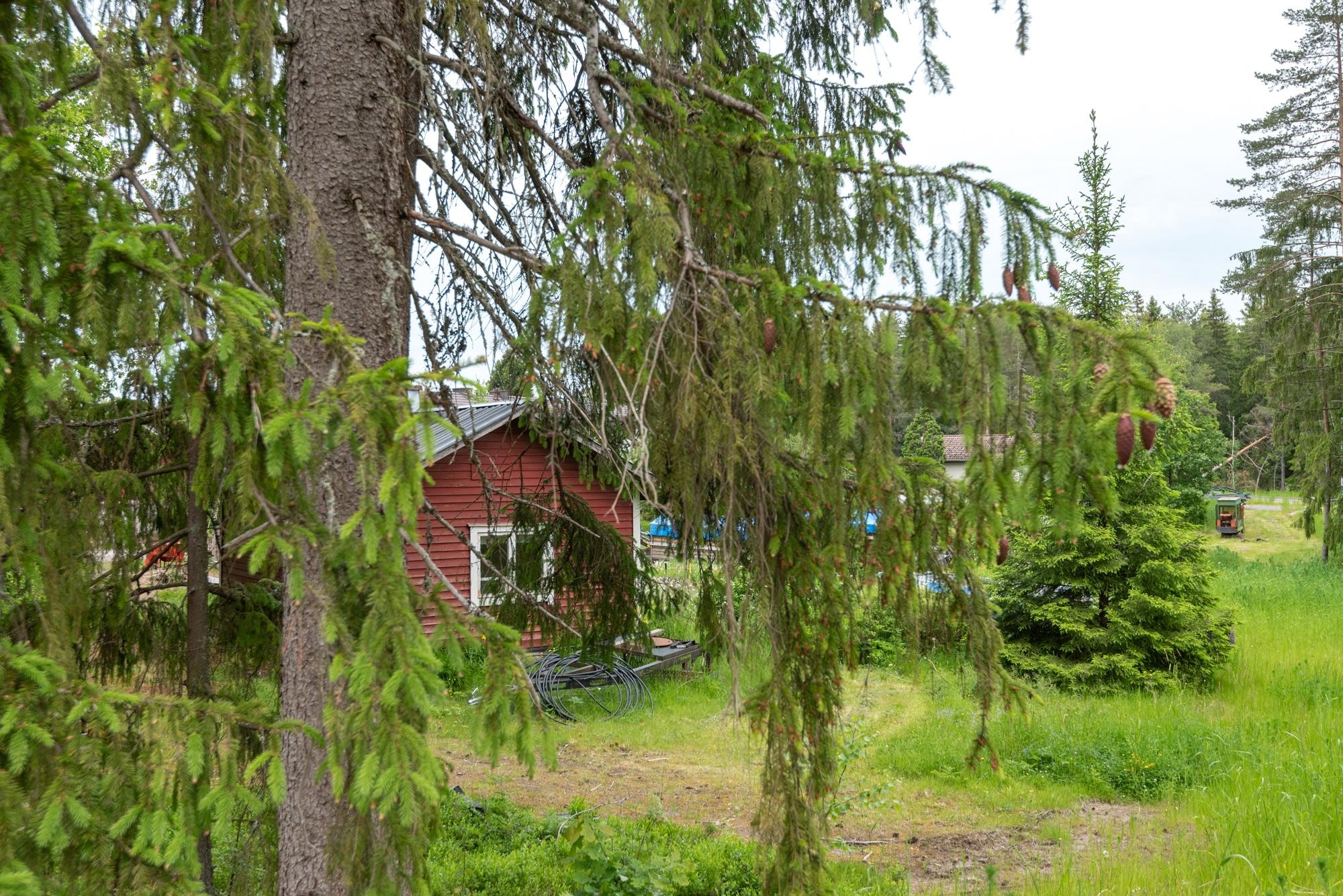 Kohdekuva 10
