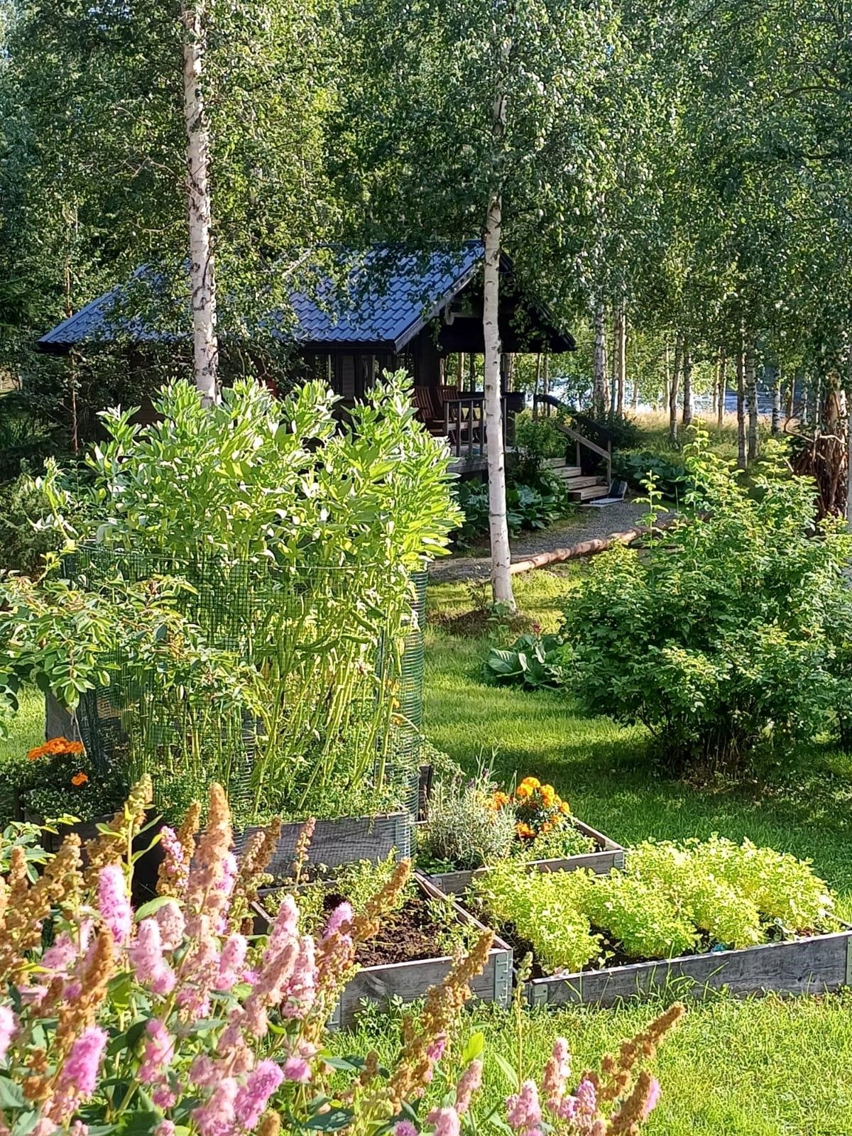 Myyjän kesäkuvia