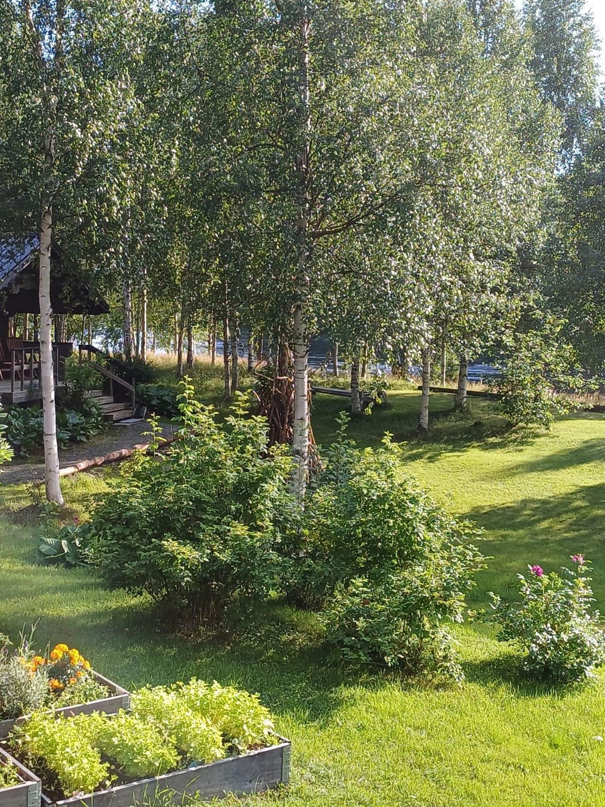 Myyjän kesäkuvia
